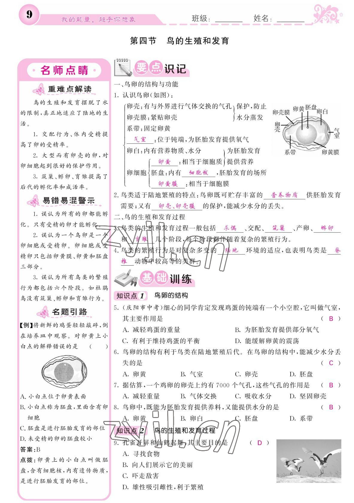 2022年課堂點睛八年級生物下冊人教版寧夏專版 參考答案第9頁