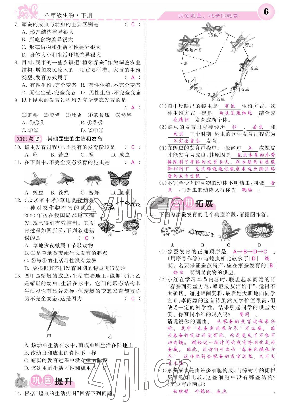 2022年課堂點(diǎn)睛八年級(jí)生物下冊(cè)人教版寧夏專(zhuān)版 參考答案第6頁(yè)