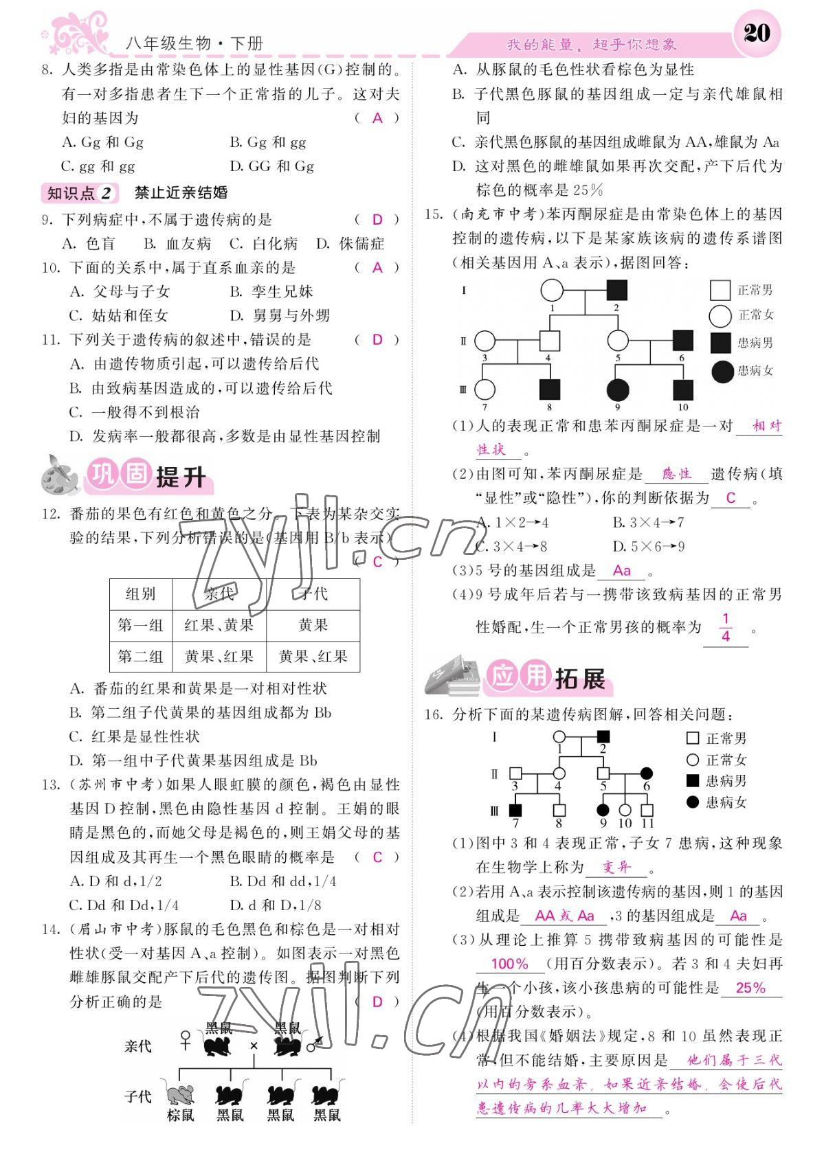 2022年課堂點睛八年級生物下冊人教版寧夏專版 參考答案第20頁