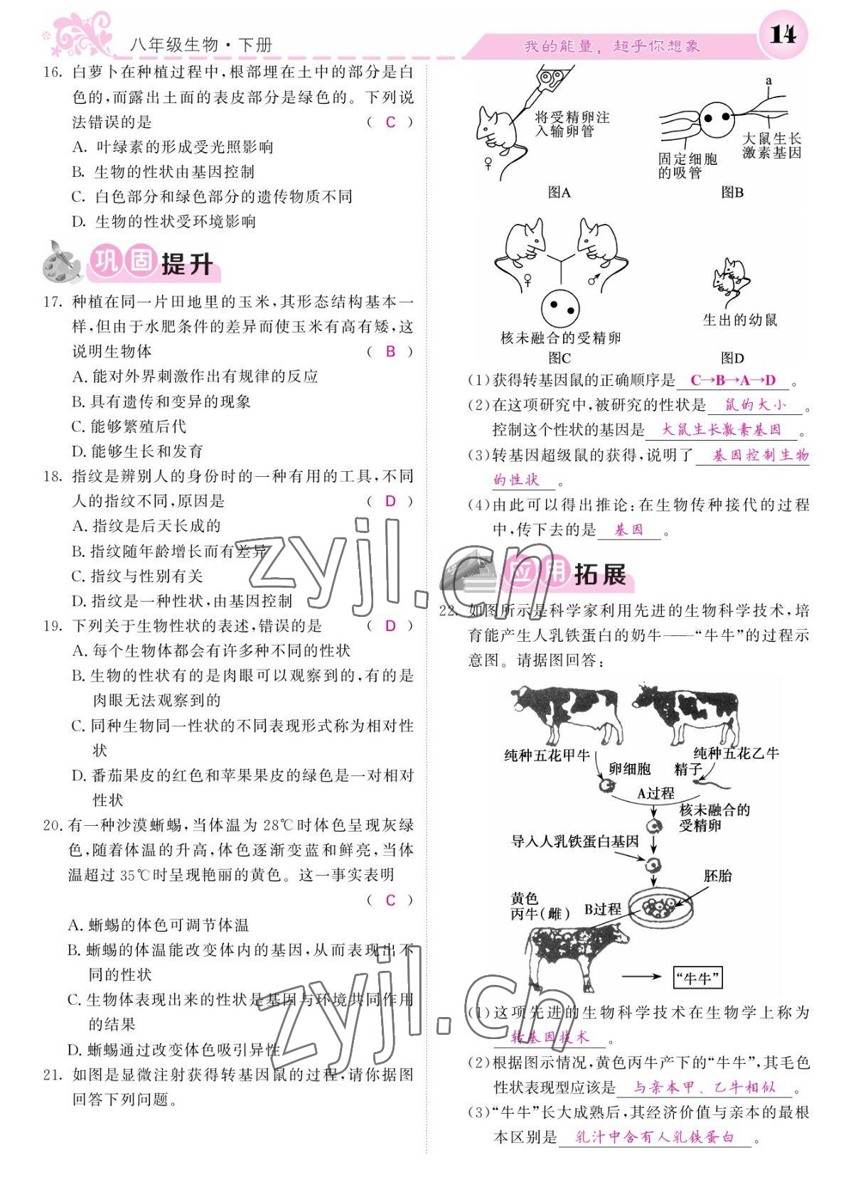 2022年課堂點睛八年級生物下冊人教版寧夏專版 參考答案第14頁