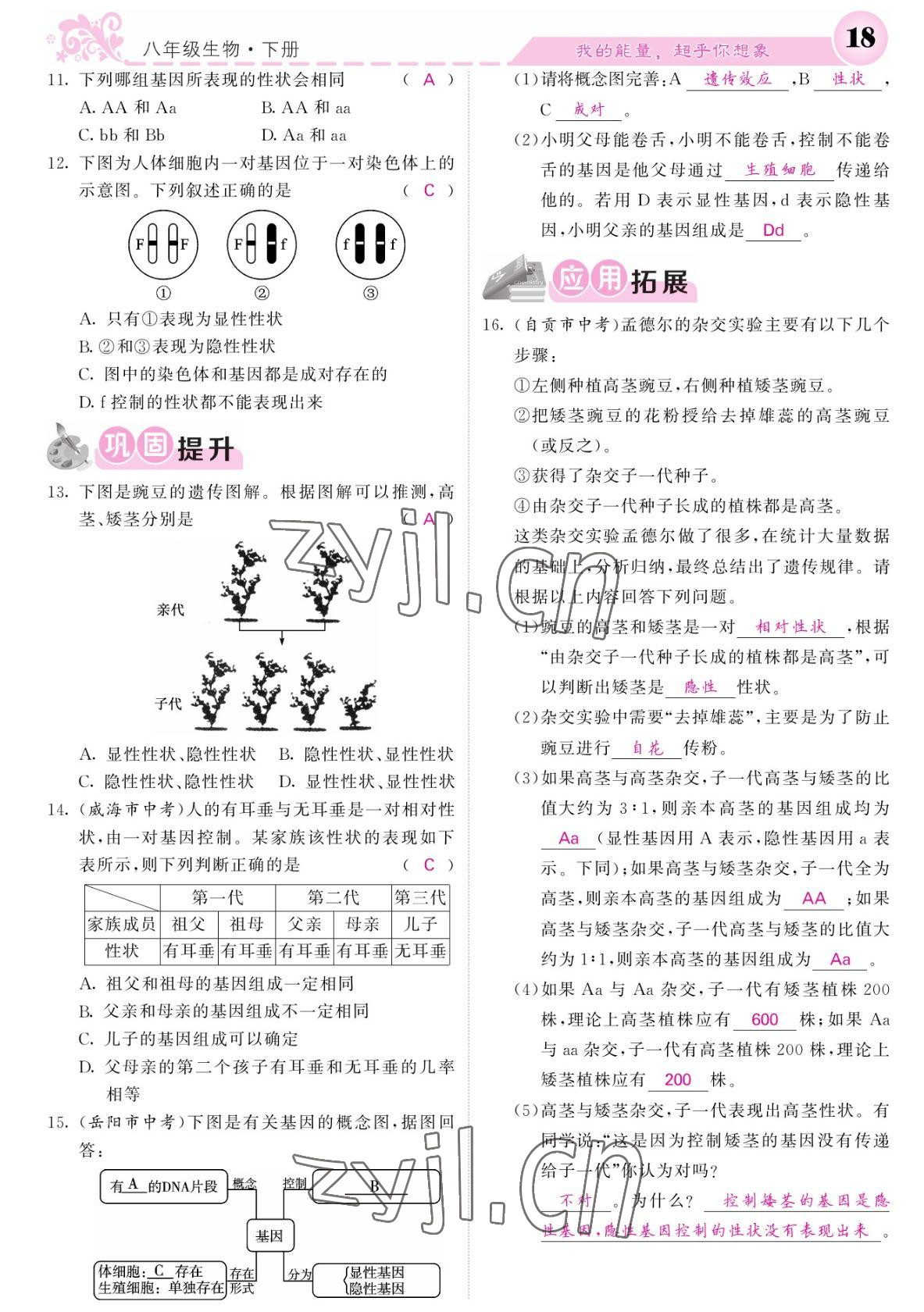 2022年課堂點睛八年級生物下冊人教版寧夏專版 參考答案第18頁