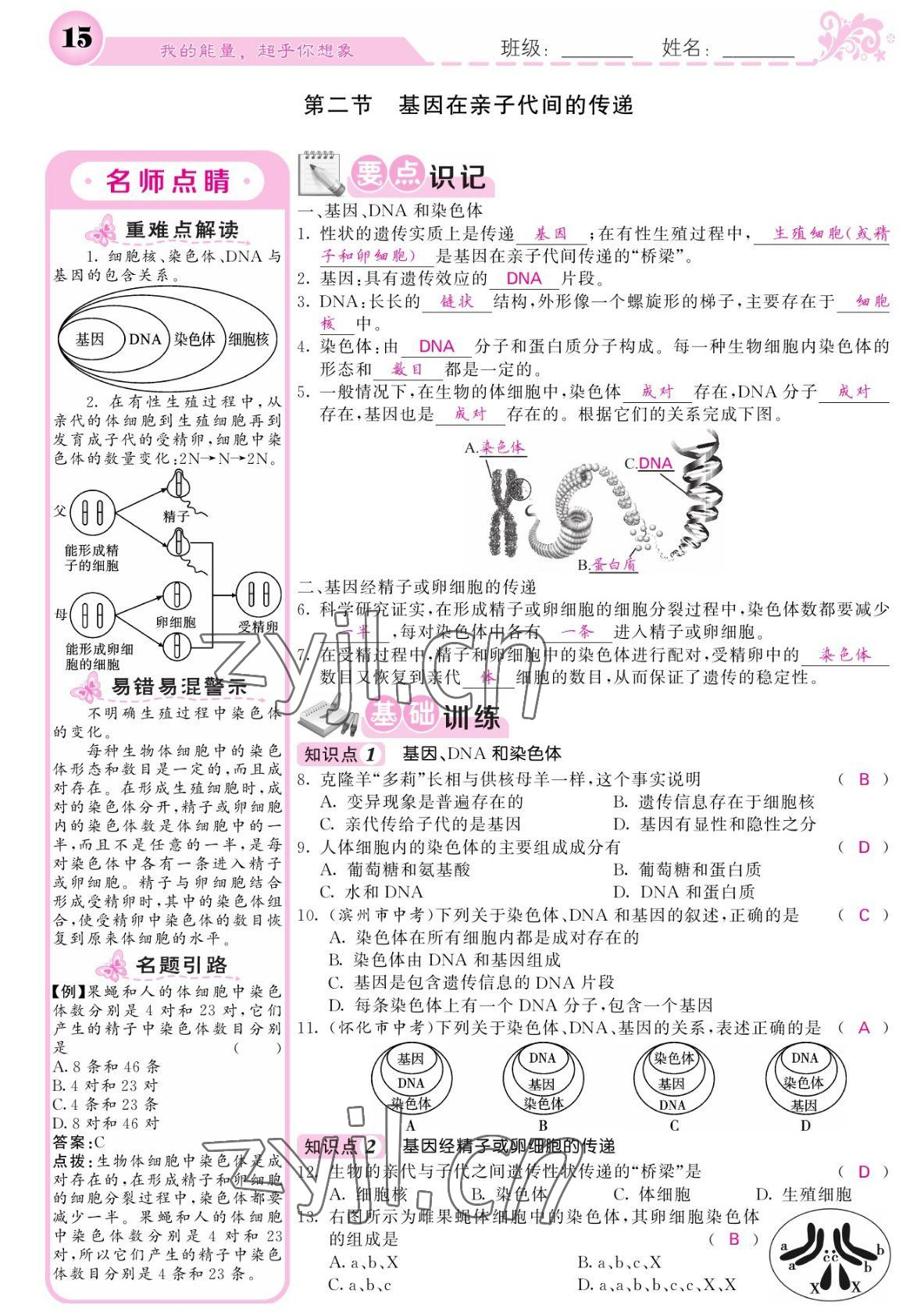 2022年課堂點(diǎn)睛八年級(jí)生物下冊(cè)人教版寧夏專版 參考答案第15頁