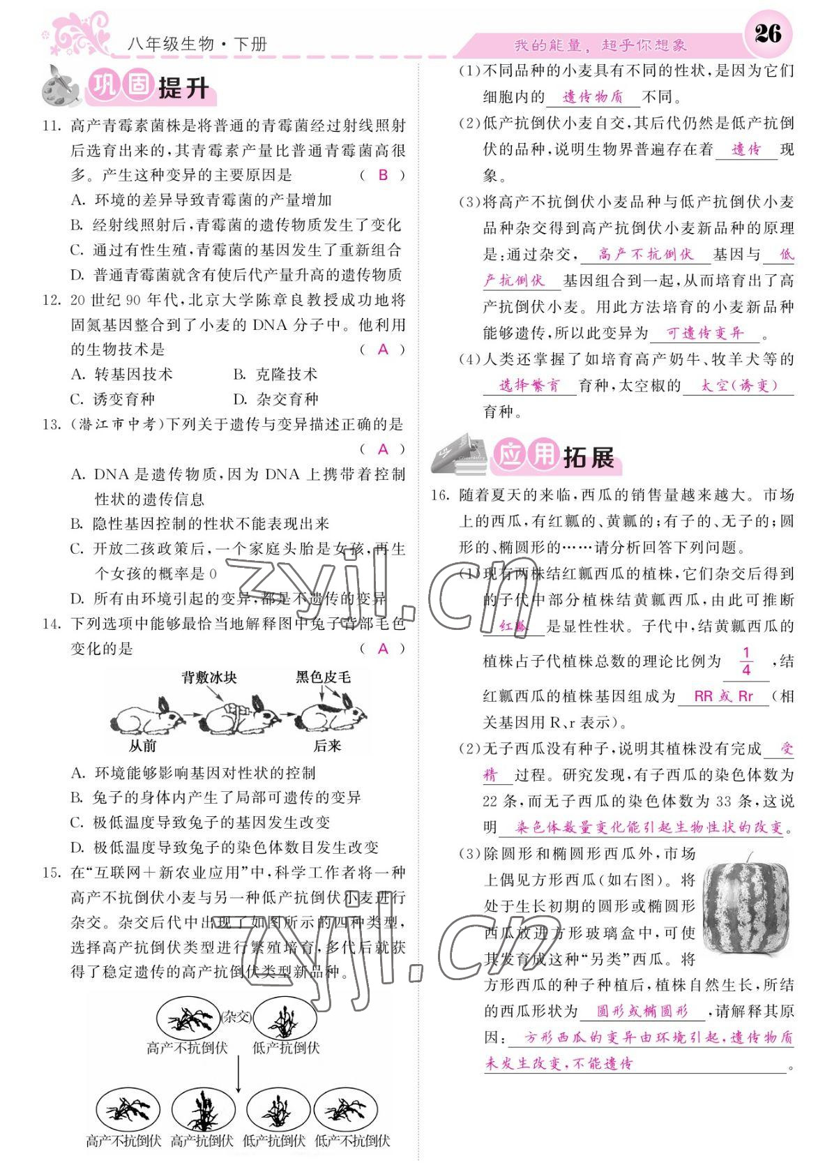 2022年課堂點(diǎn)睛八年級(jí)生物下冊(cè)人教版寧夏專版 參考答案第26頁(yè)