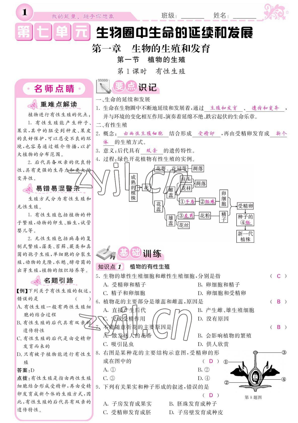 2022年課堂點睛八年級生物下冊人教版寧夏專版 參考答案第1頁