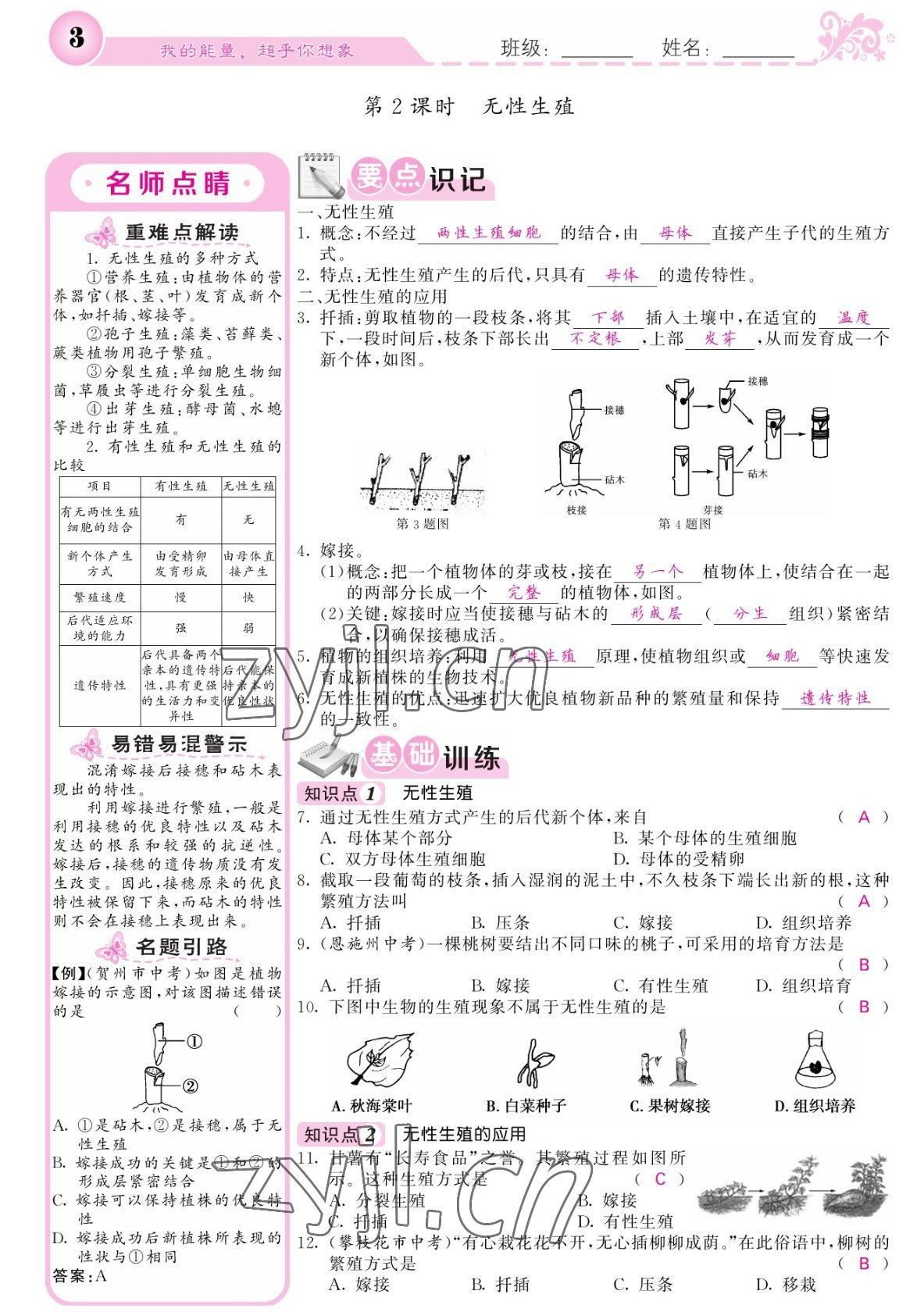 2022年課堂點(diǎn)睛八年級(jí)生物下冊人教版寧夏專版 參考答案第3頁