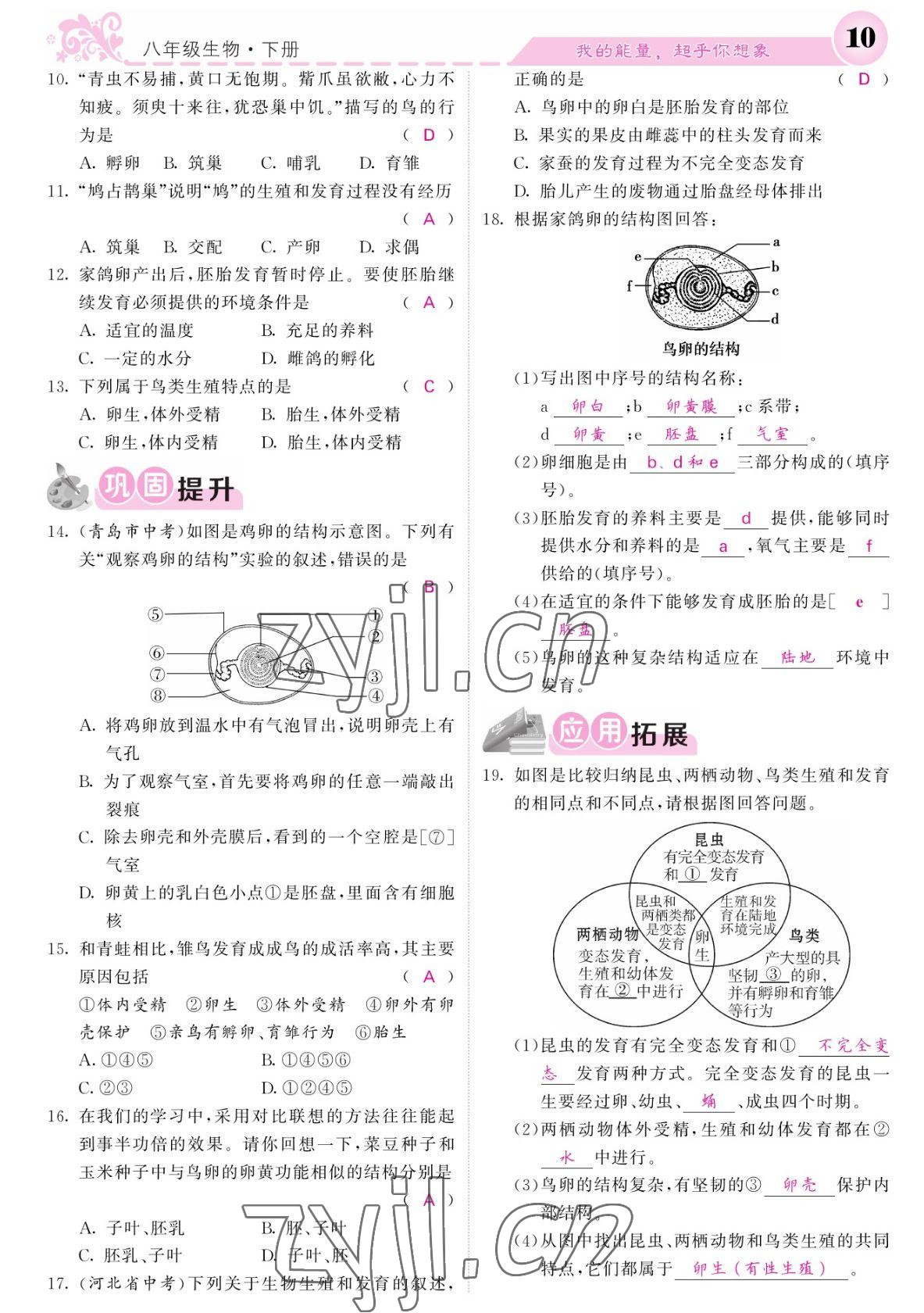 2022年課堂點睛八年級生物下冊人教版寧夏專版 參考答案第10頁