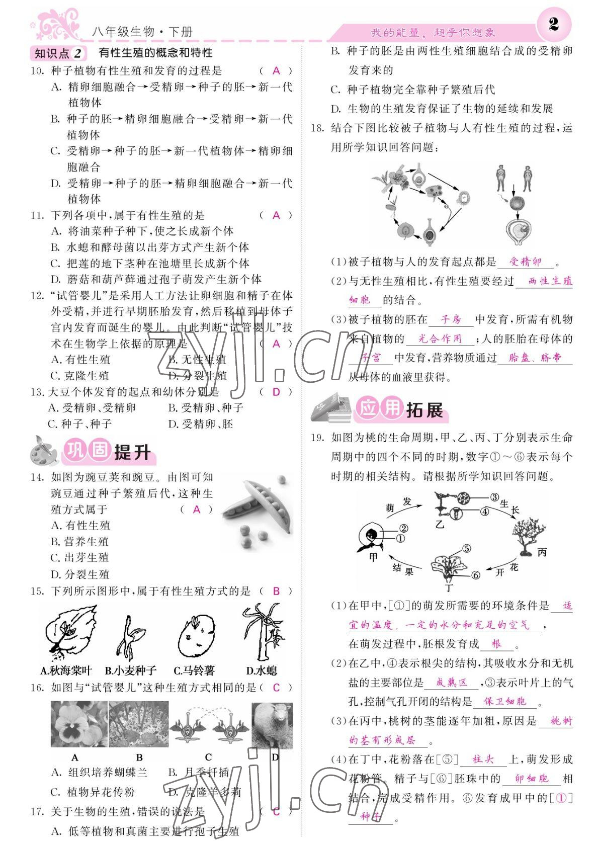 2022年課堂點睛八年級生物下冊人教版寧夏專版 參考答案第2頁