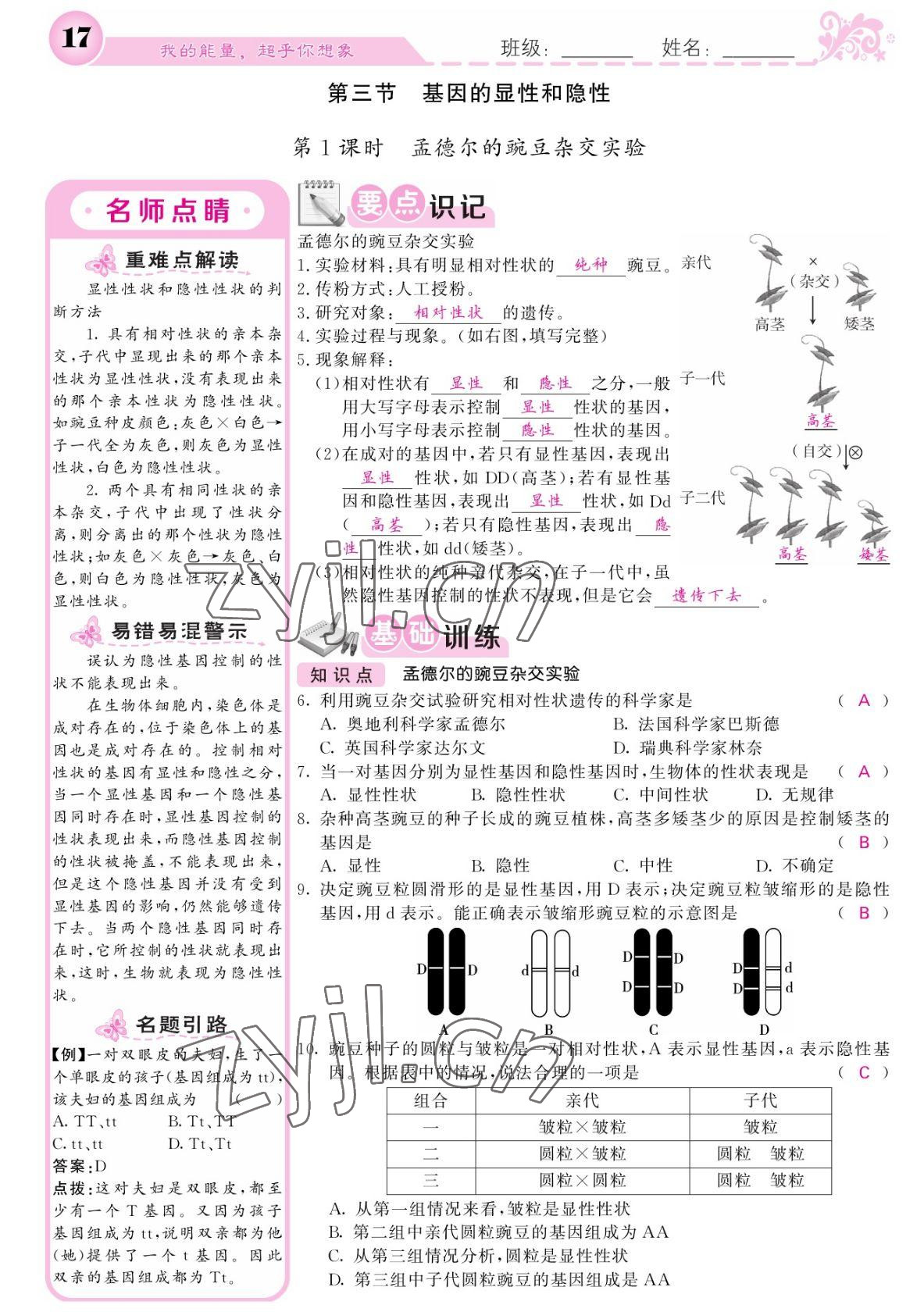 2022年課堂點(diǎn)睛八年級(jí)生物下冊(cè)人教版寧夏專版 參考答案第17頁