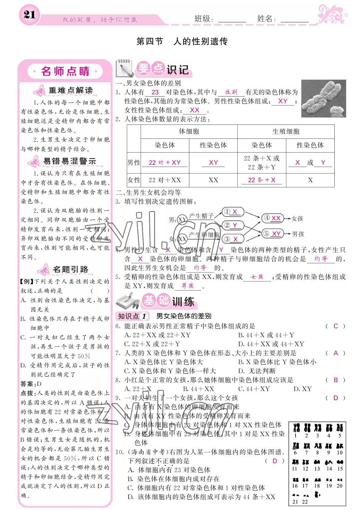 2022年課堂點(diǎn)睛八年級生物下冊人教版寧夏專版 參考答案第21頁