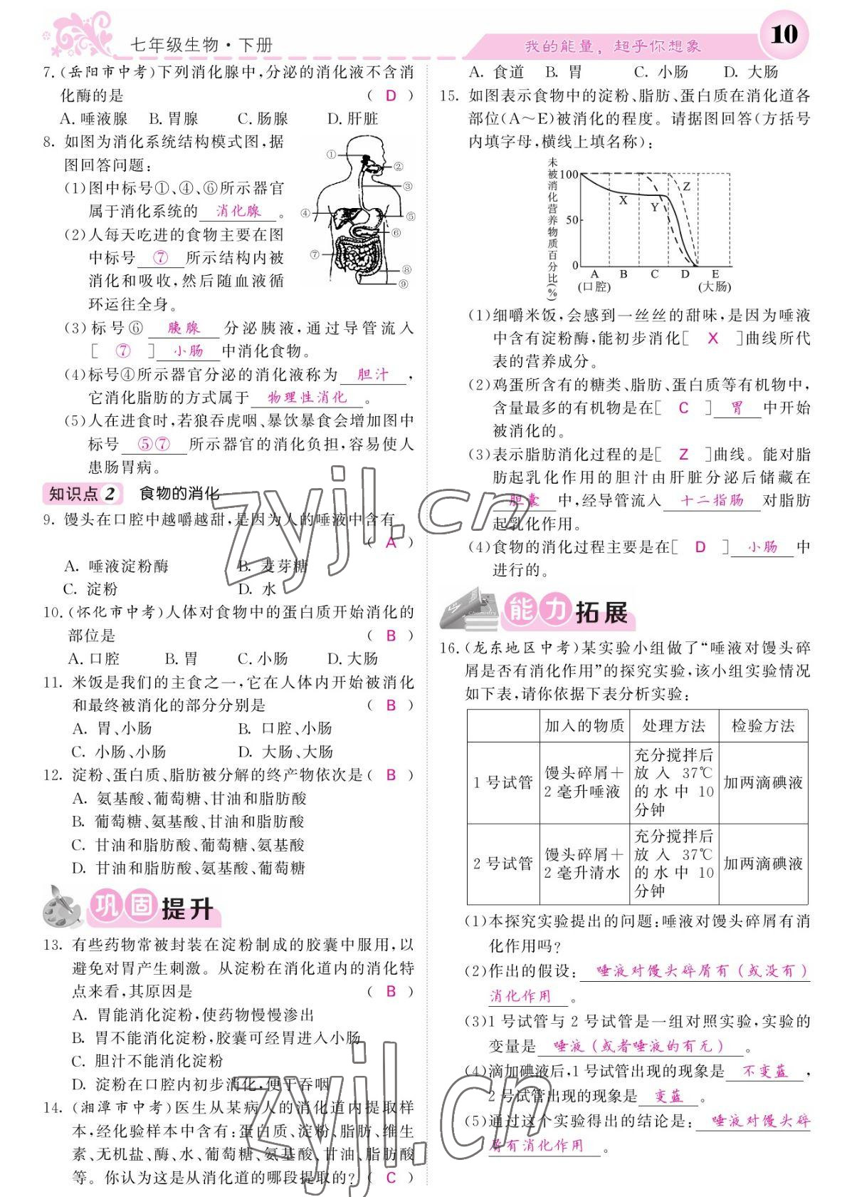 2022年課堂點(diǎn)睛七年級(jí)生物下冊(cè)人教版寧夏專(zhuān)版 參考答案第10頁(yè)
