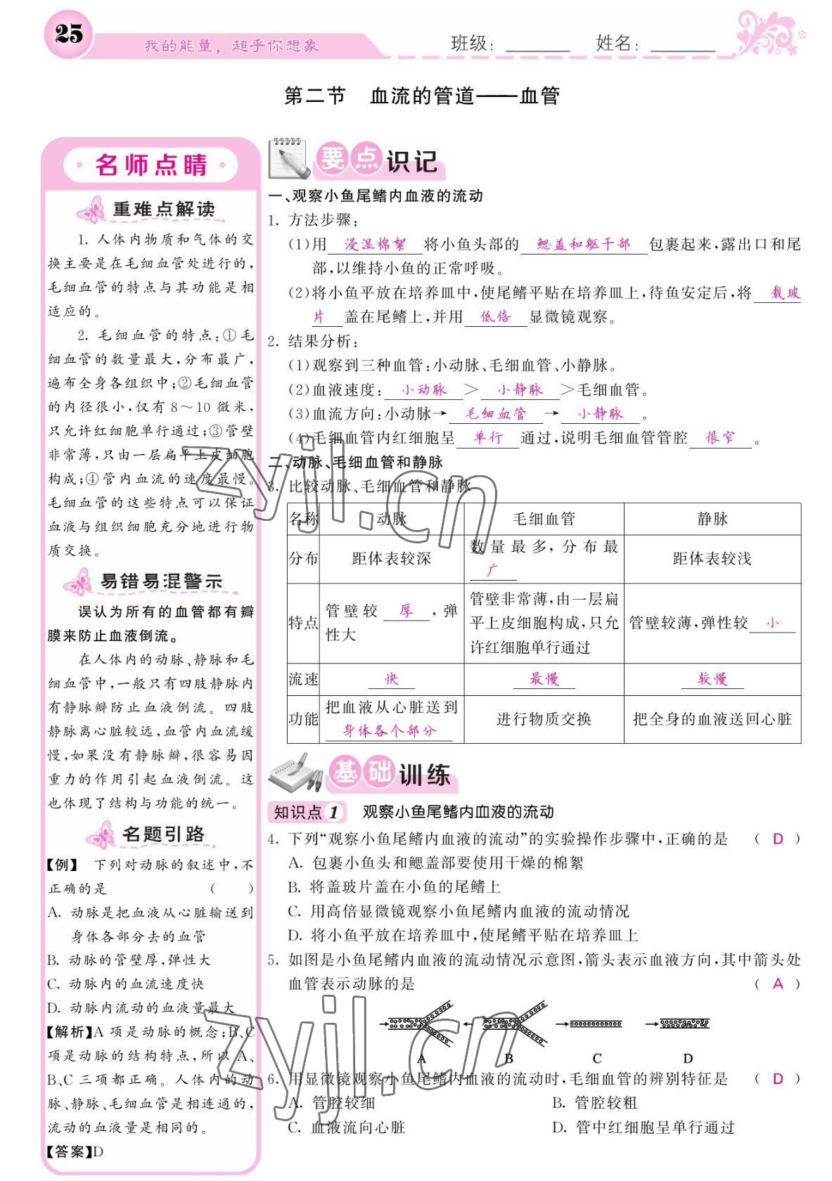 2022年課堂點睛七年級生物下冊人教版寧夏專版 參考答案第25頁