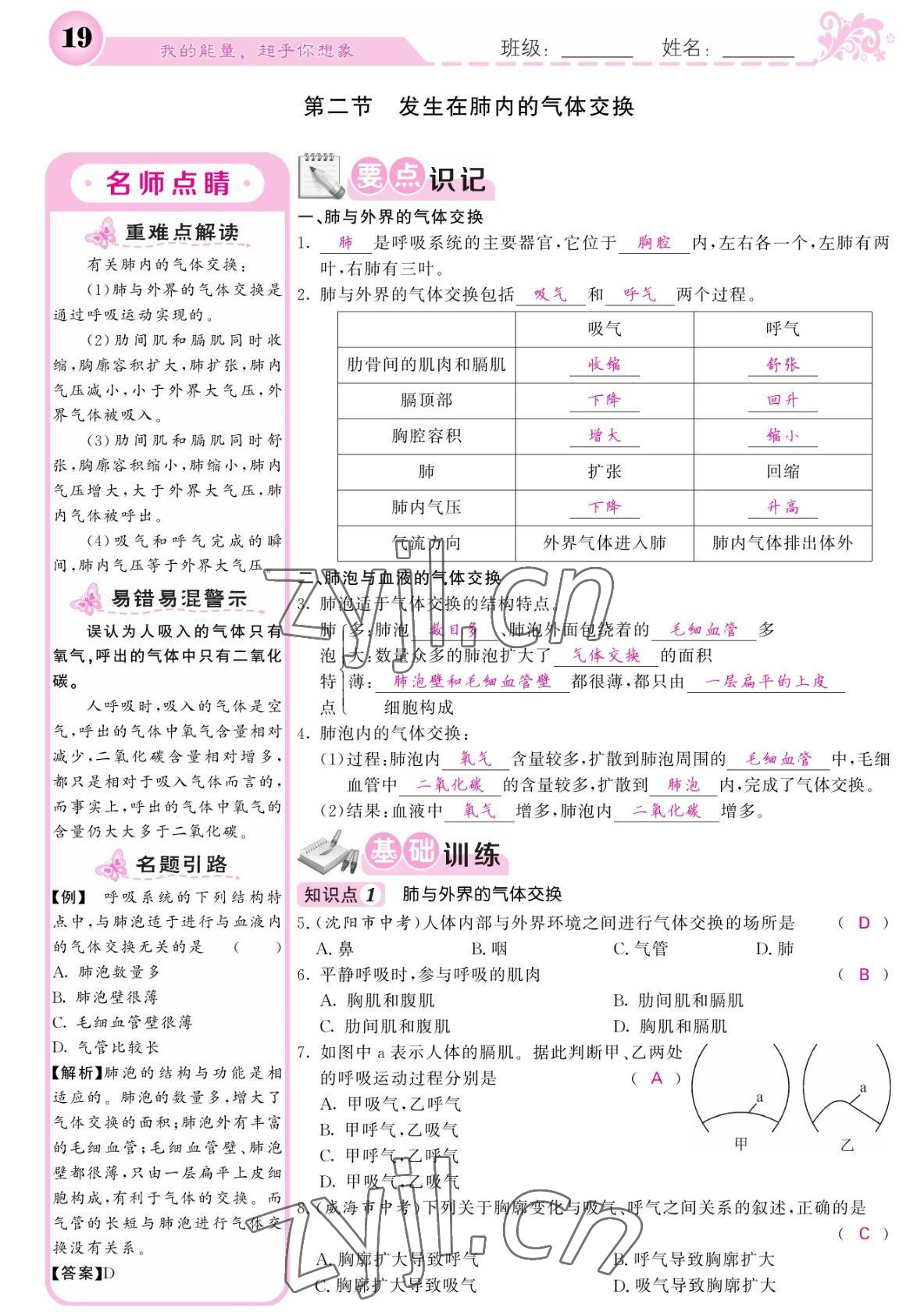 2022年課堂點(diǎn)睛七年級生物下冊人教版寧夏專版 參考答案第19頁
