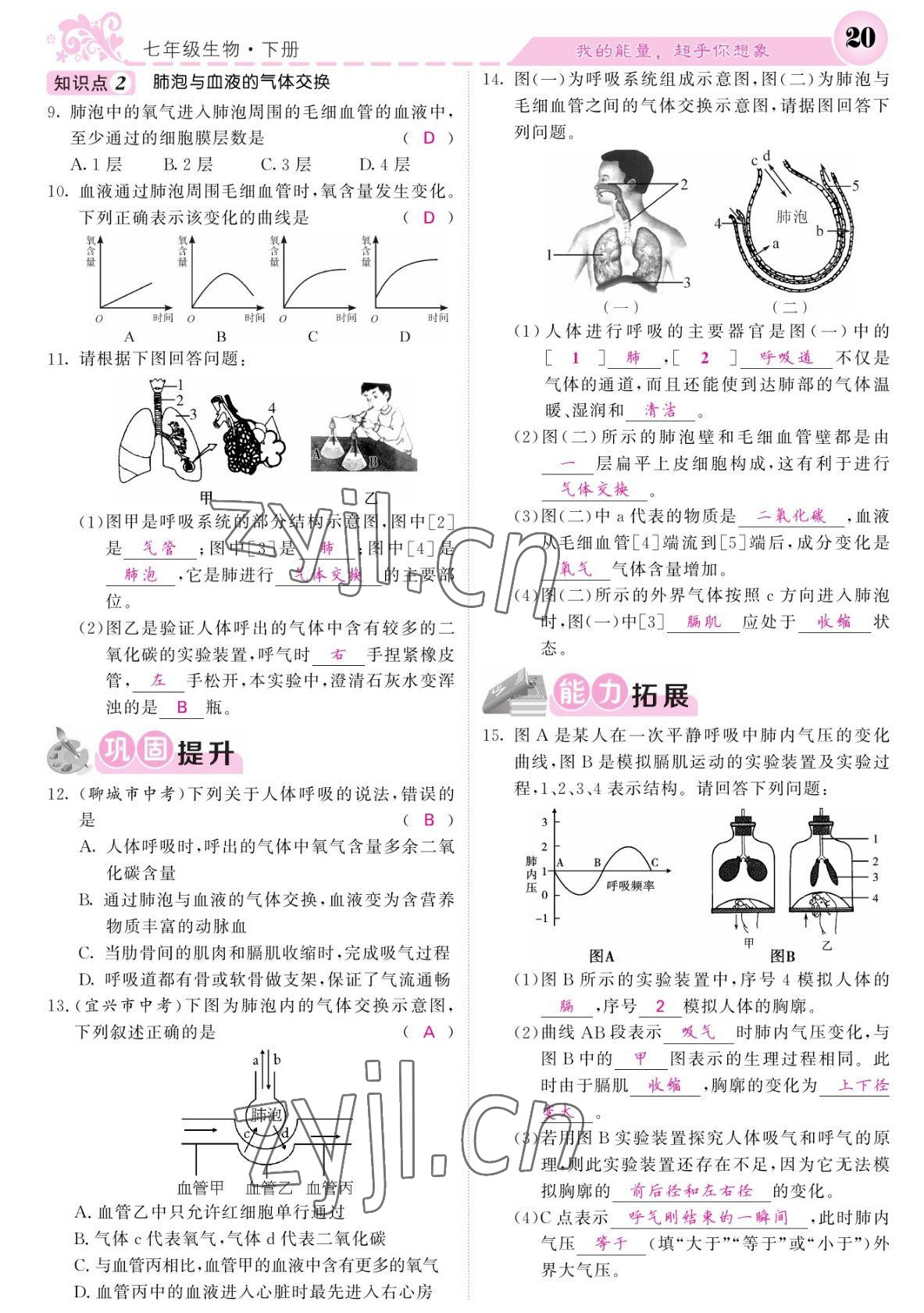 2022年課堂點(diǎn)睛七年級(jí)生物下冊(cè)人教版寧夏專(zhuān)版 參考答案第20頁(yè)