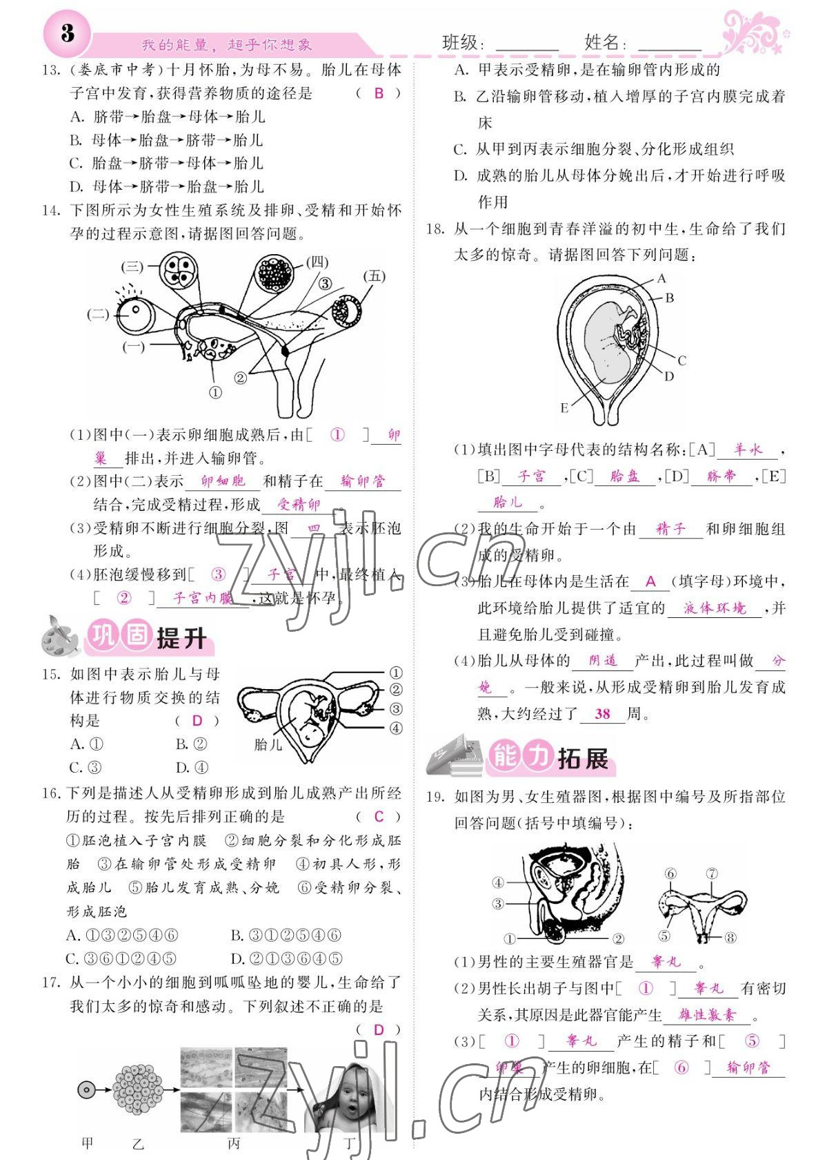 2022年課堂點(diǎn)睛七年級(jí)生物下冊(cè)人教版寧夏專版 參考答案第3頁(yè)