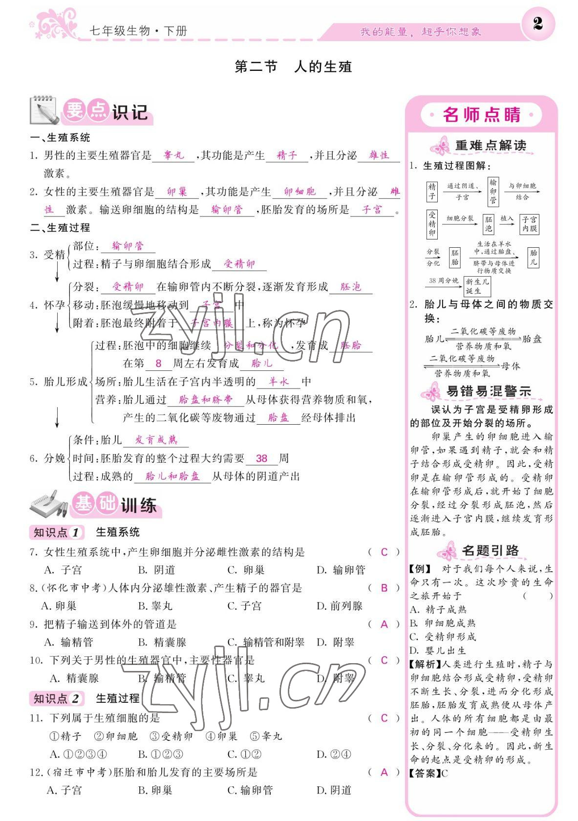 2022年課堂點(diǎn)睛七年級(jí)生物下冊(cè)人教版寧夏專(zhuān)版 參考答案第2頁(yè)