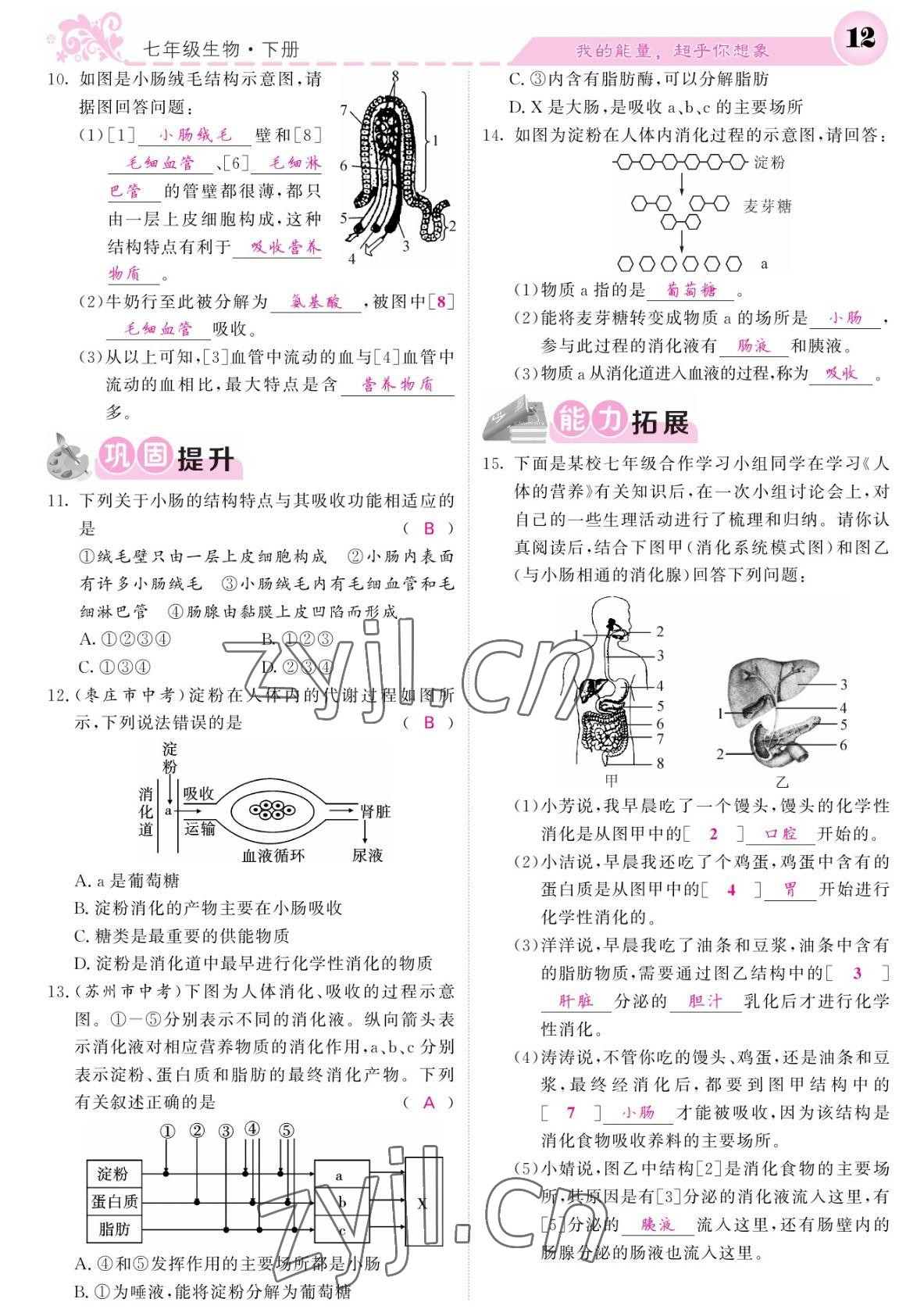 2022年課堂點(diǎn)睛七年級(jí)生物下冊人教版寧夏專版 參考答案第12頁