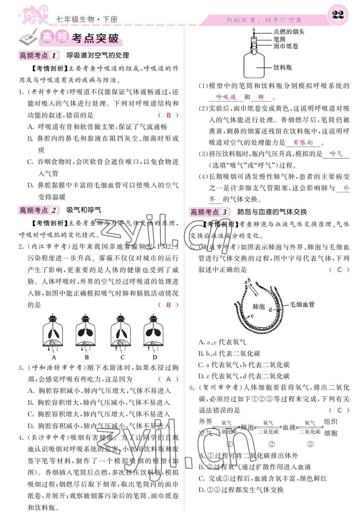 2022年課堂點(diǎn)睛七年級(jí)生物下冊(cè)人教版寧夏專版 參考答案第22頁