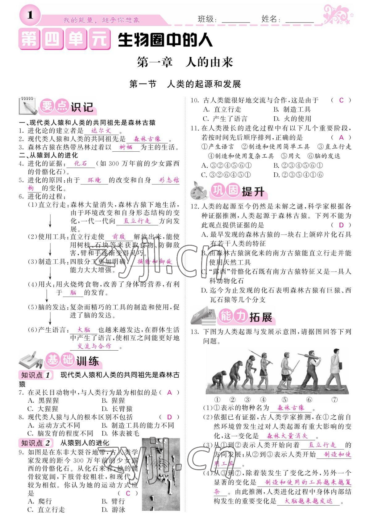 2022年課堂點(diǎn)睛七年級(jí)生物下冊(cè)人教版寧夏專版 參考答案第1頁