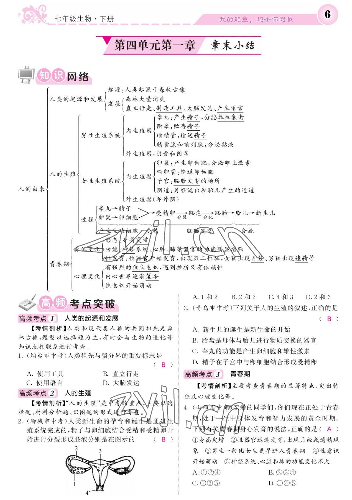 2022年課堂點(diǎn)睛七年級(jí)生物下冊(cè)人教版寧夏專版 參考答案第6頁
