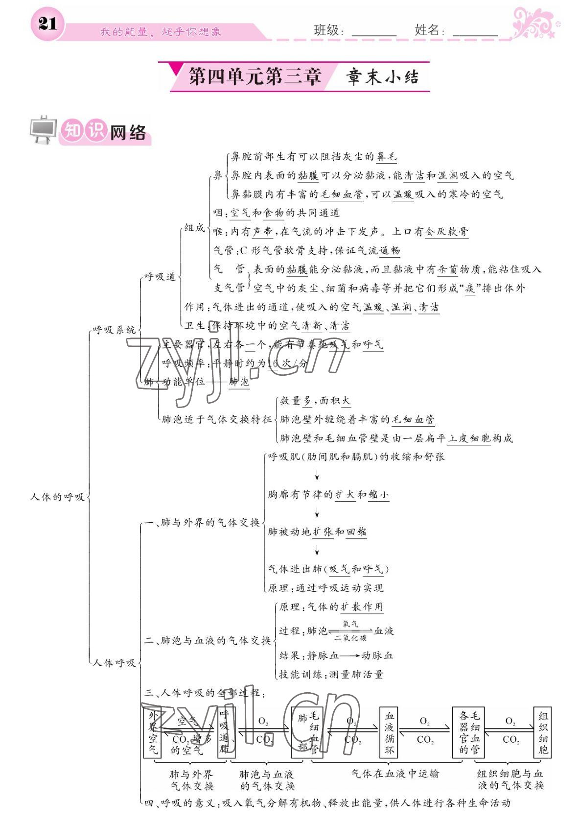 2022年課堂點(diǎn)睛七年級(jí)生物下冊人教版寧夏專版 參考答案第21頁