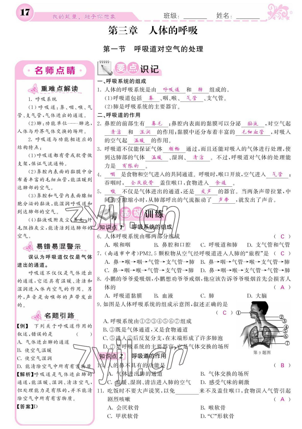 2022年課堂點(diǎn)睛七年級(jí)生物下冊(cè)人教版寧夏專版 參考答案第17頁(yè)
