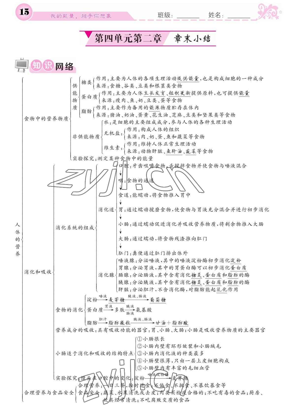 2022年課堂點睛七年級生物下冊人教版寧夏專版 參考答案第15頁