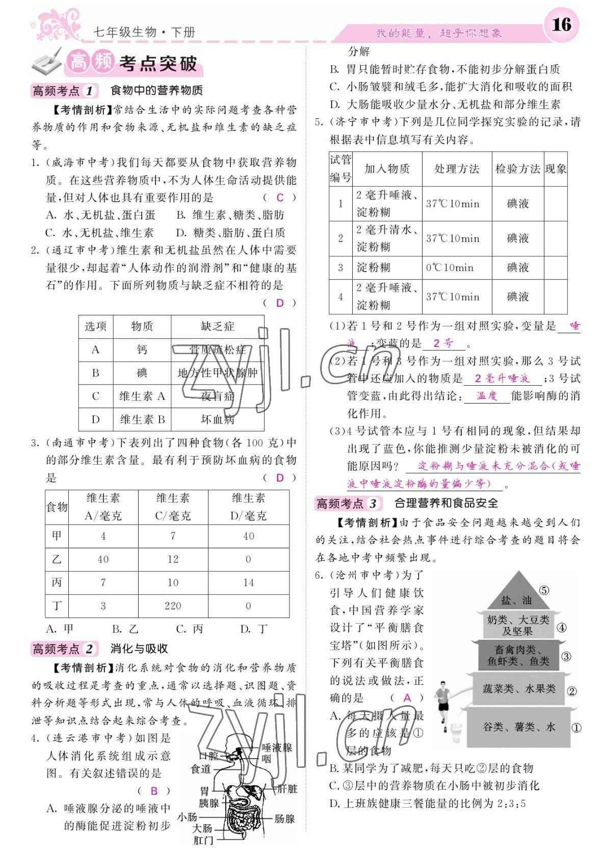 2022年課堂點睛七年級生物下冊人教版寧夏專版 參考答案第16頁