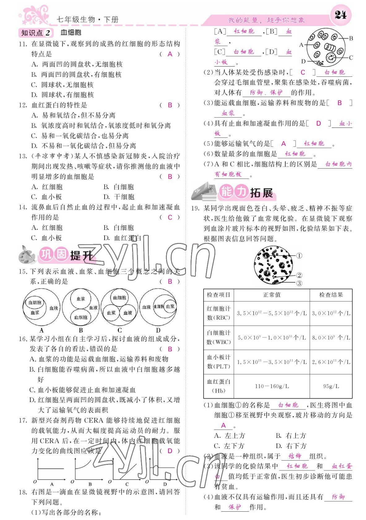 2022年課堂點(diǎn)睛七年級生物下冊人教版寧夏專版 參考答案第24頁