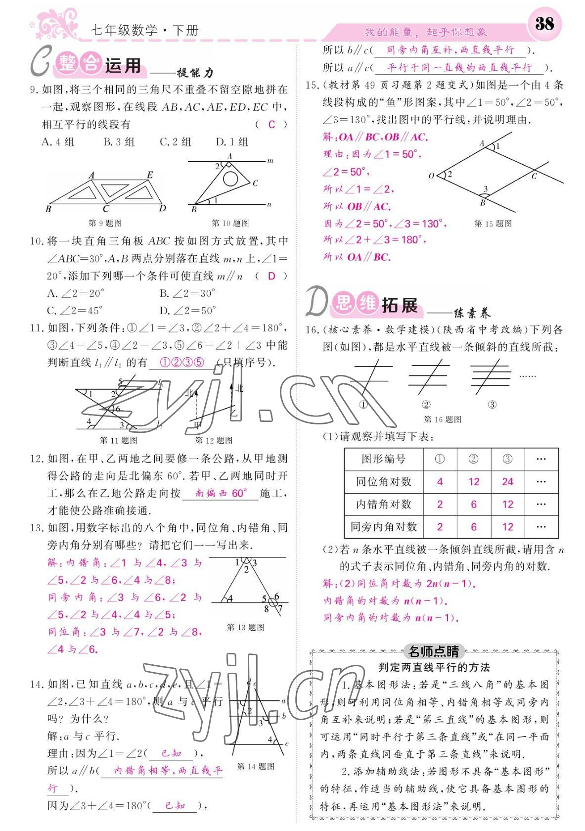 2022年課堂點(diǎn)睛七年級(jí)數(shù)學(xué)下冊(cè)北師大版寧夏專版 參考答案第38頁