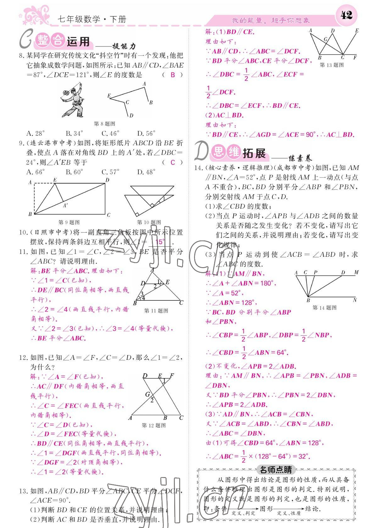 2022年課堂點(diǎn)睛七年級(jí)數(shù)學(xué)下冊(cè)北師大版寧夏專版 參考答案第42頁(yè)