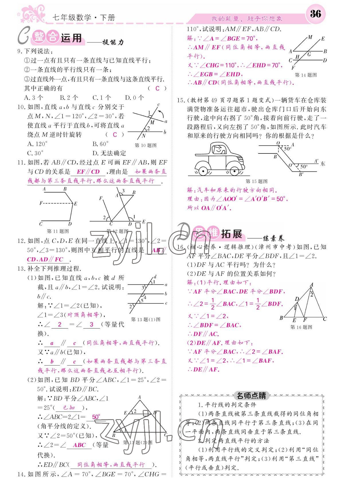 2022年課堂點睛七年級數(shù)學(xué)下冊北師大版寧夏專版 參考答案第36頁