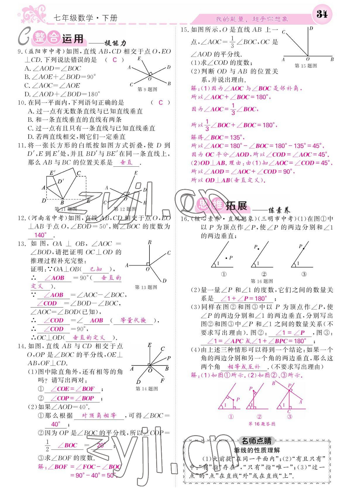 2022年課堂點睛七年級數(shù)學下冊北師大版寧夏專版 參考答案第34頁