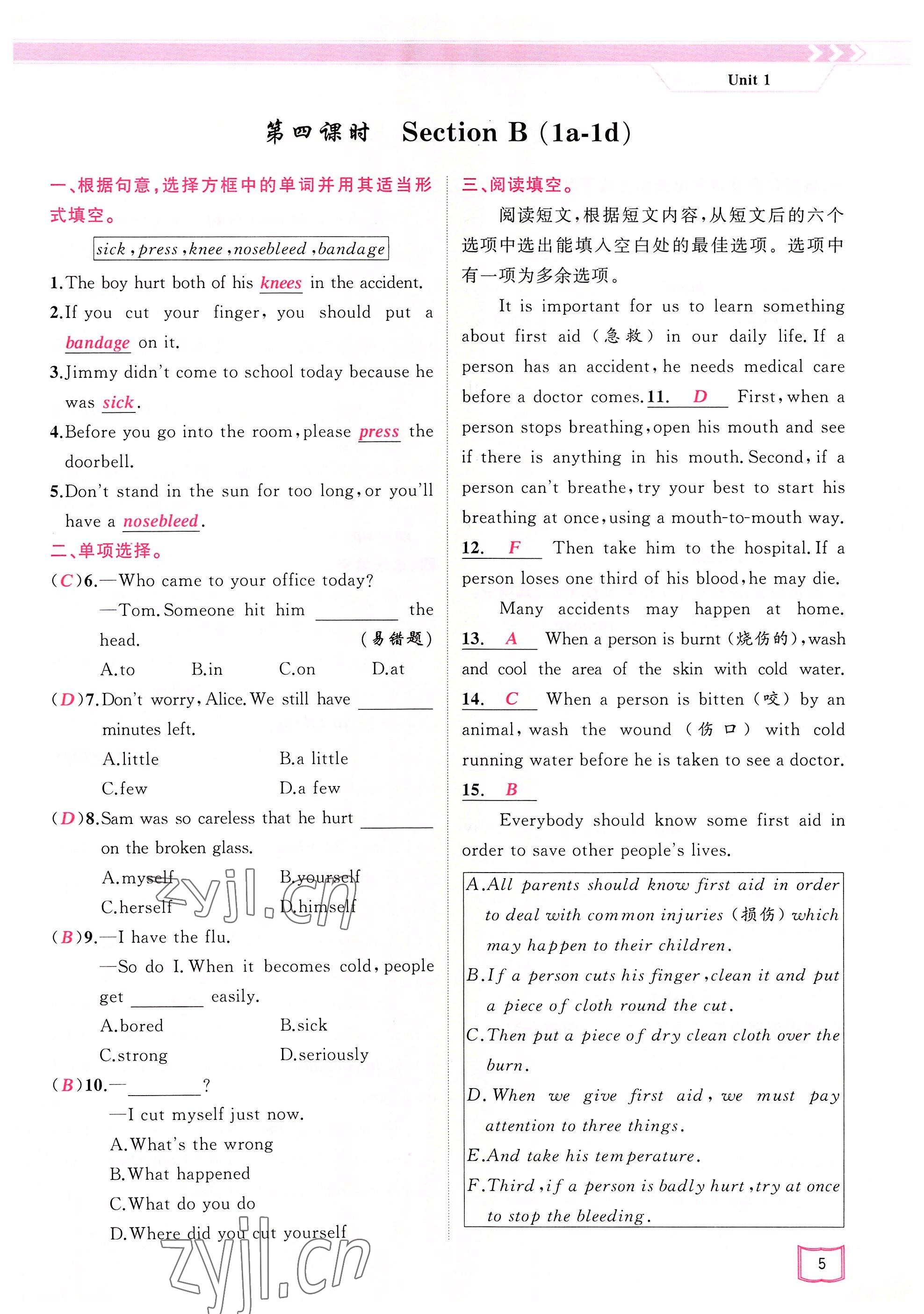 2022年原創(chuàng)新課堂八年級英語下冊人教版四川專版 參考答案第5頁