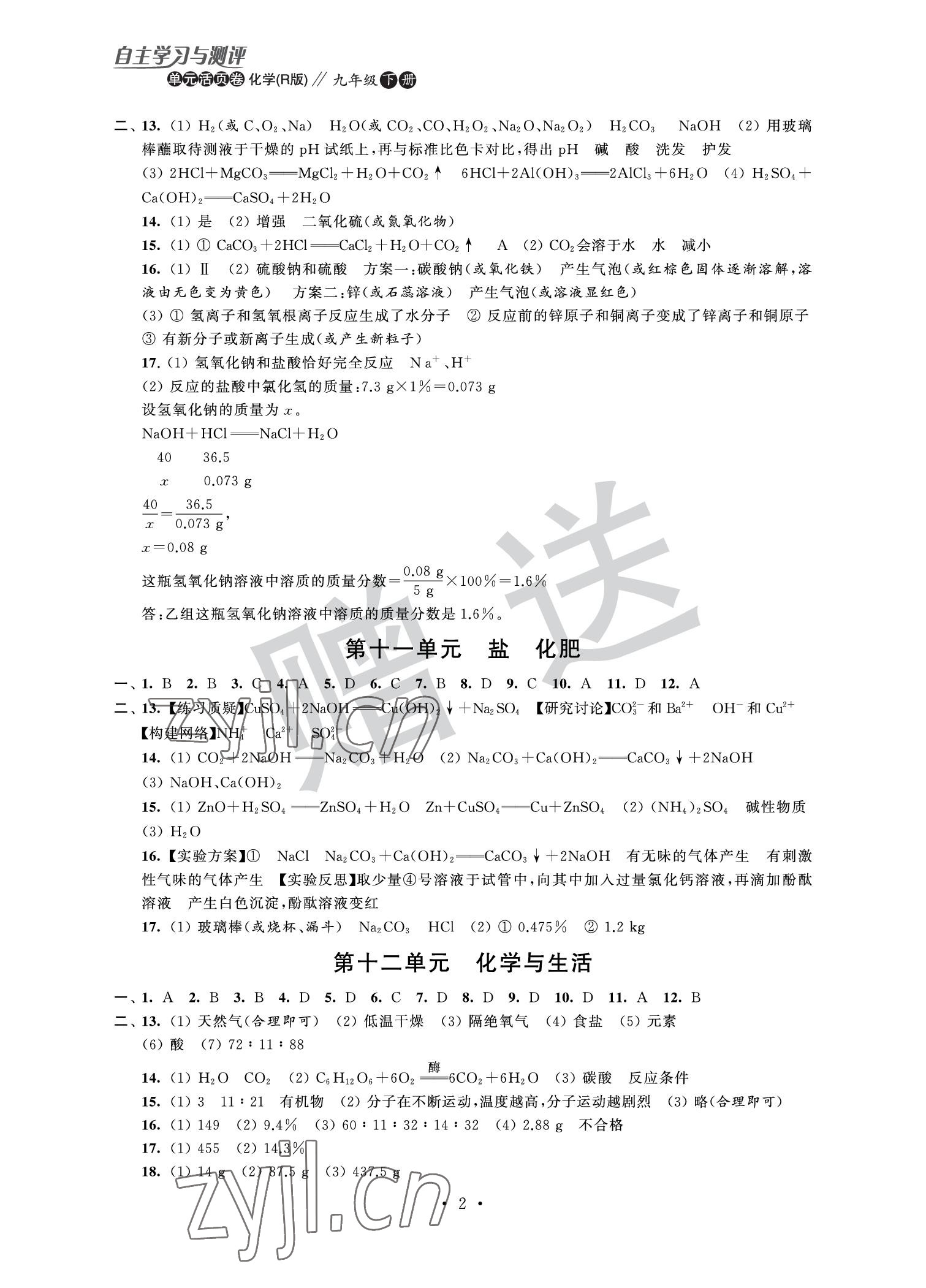2022年自主学习与测评单元活页卷九年级化学下册人教版 参考答案第2页