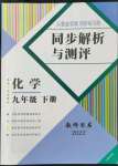 2022年人教金学典同步解析与测评九年级化学下册人教版云南专版