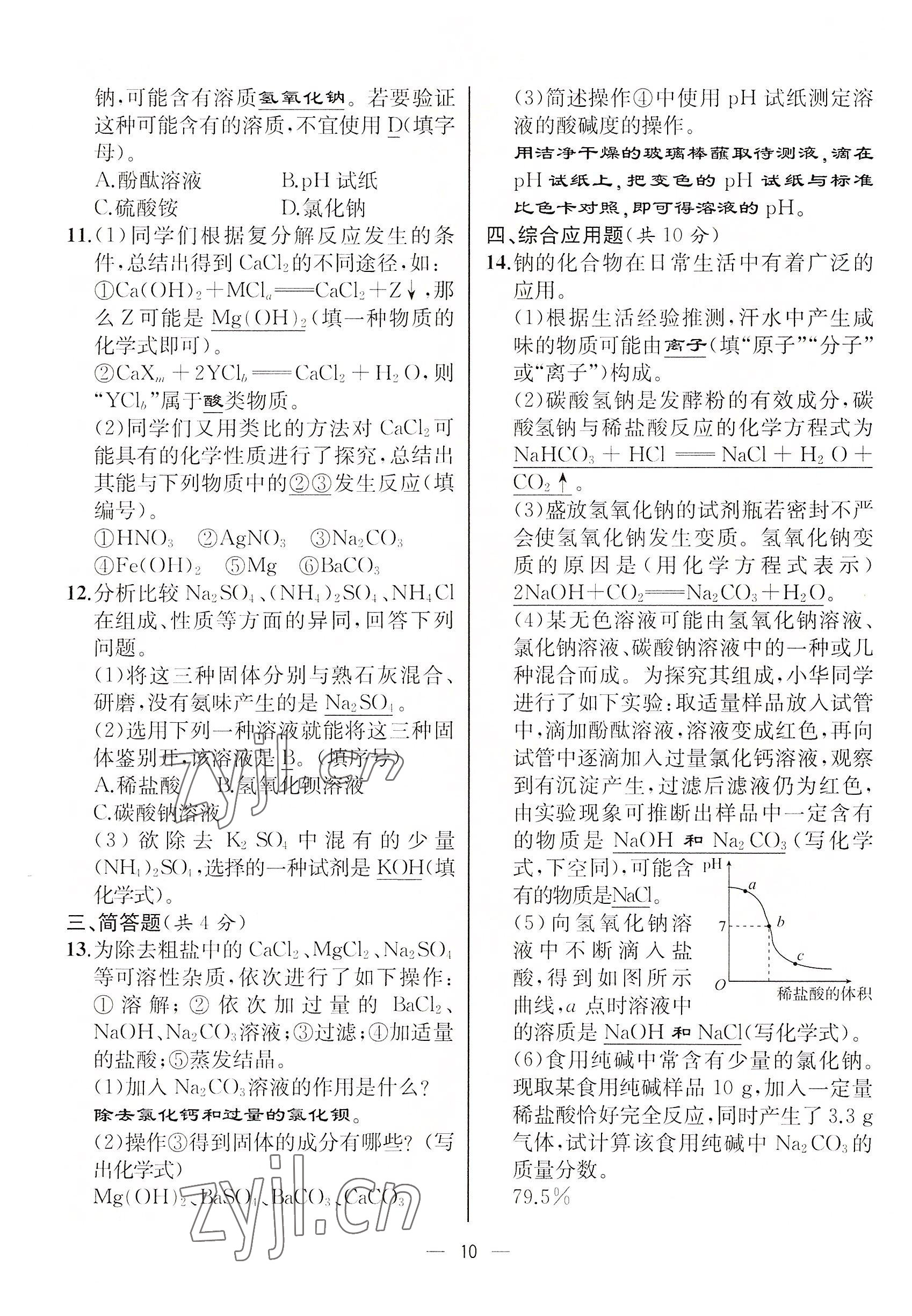 2022年人教金学典同步解析与测评九年级化学下册人教版云南专版 参考答案第10页