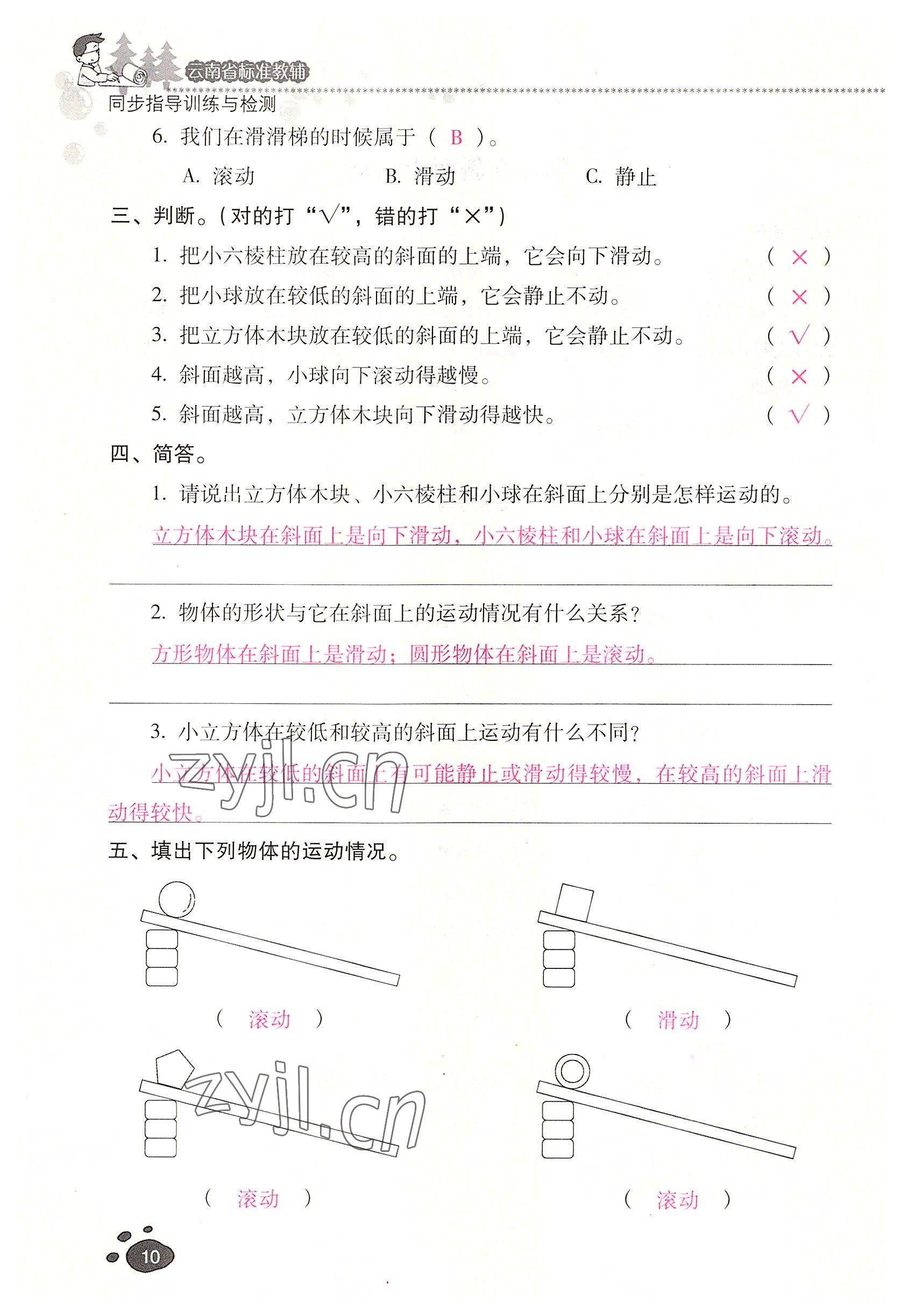 2022年云南省標準教輔同步指導訓練與檢測三年級科學下冊教科版 參考答案第9頁