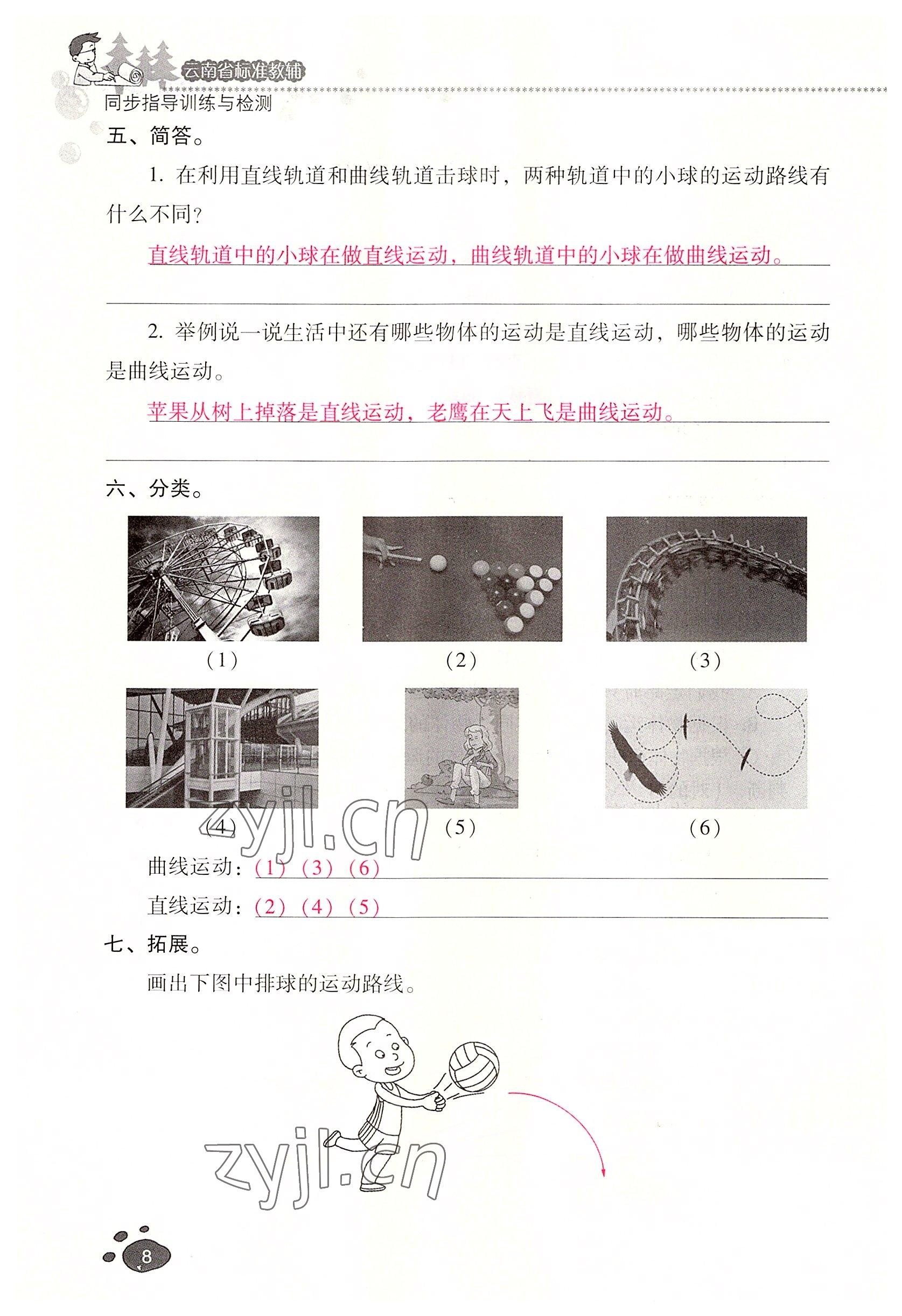 2022年云南省标准教辅同步指导训练与检测三年级科学下册教科版 参考答案第7页