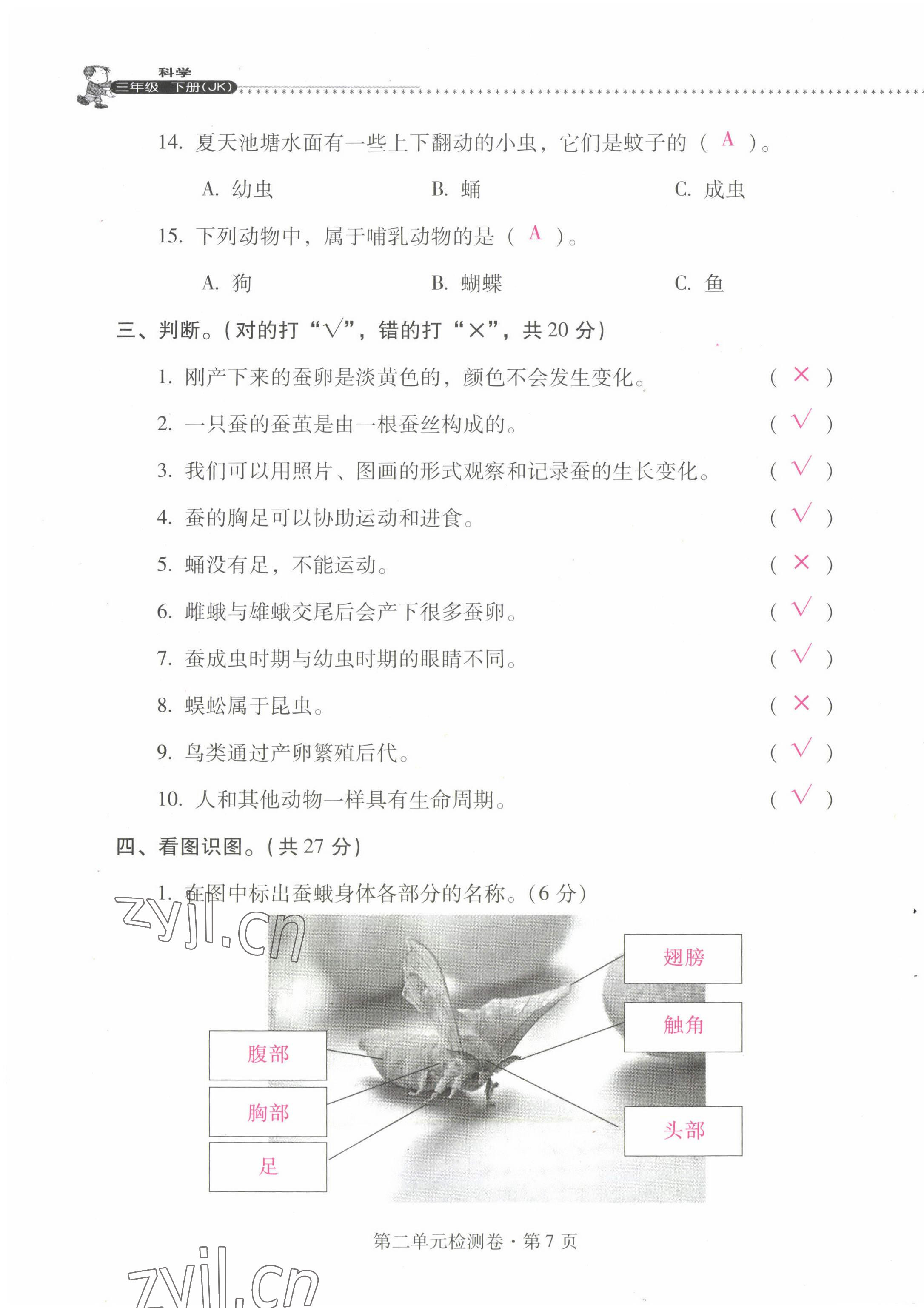 2022年云南省標(biāo)準(zhǔn)教輔同步指導(dǎo)訓(xùn)練與檢測(cè)三年級(jí)科學(xué)下冊(cè)教科版 第7頁(yè)