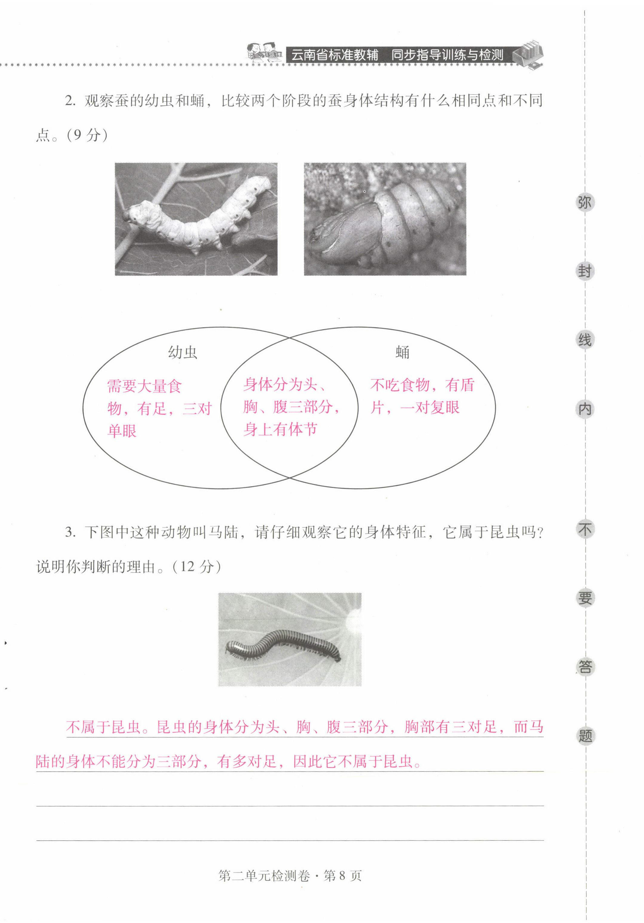 2022年云南省標準教輔同步指導訓練與檢測三年級科學下冊教科版 第8頁