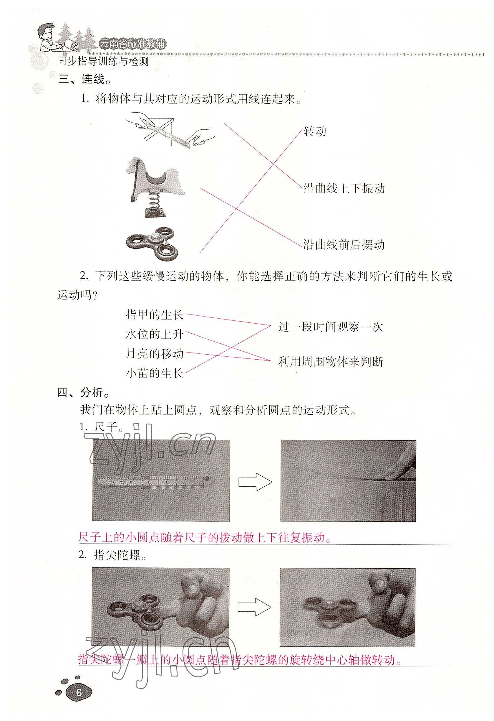 2022年云南省標(biāo)準(zhǔn)教輔同步指導(dǎo)訓(xùn)練與檢測(cè)三年級(jí)科學(xué)下冊(cè)教科版 參考答案第5頁