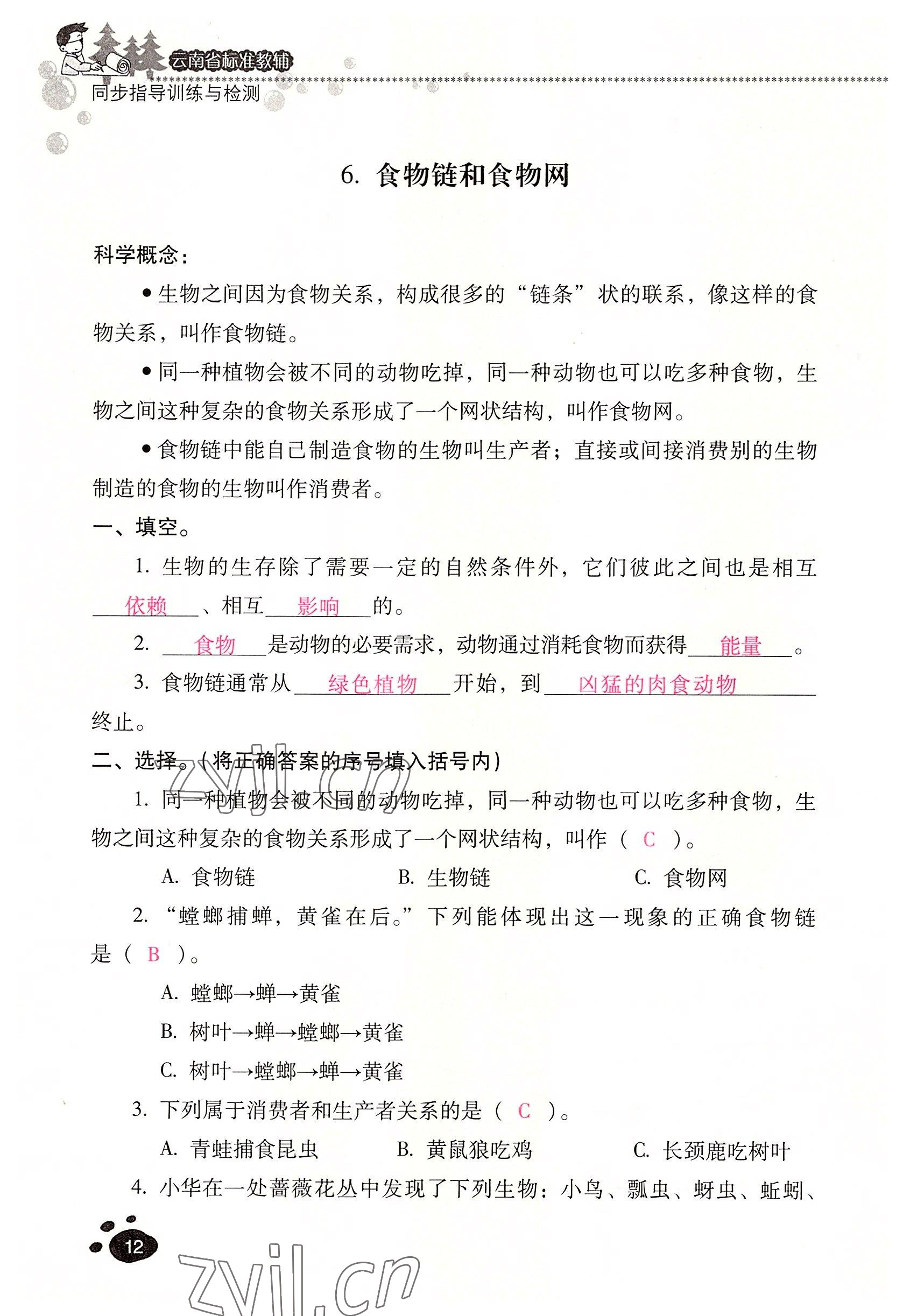 2022年云南省標(biāo)準(zhǔn)教輔同步指導(dǎo)訓(xùn)練與檢測(cè)五年級(jí)科學(xué)下冊(cè)教科版 參考答案第11頁