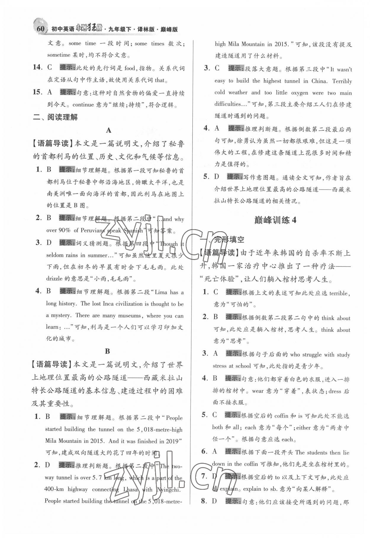 2022年小題狂做九年級(jí)英語下冊(cè)譯林版巔峰版 第4頁