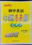 2022年小題狂做九年級英語下冊譯林版巔峰版