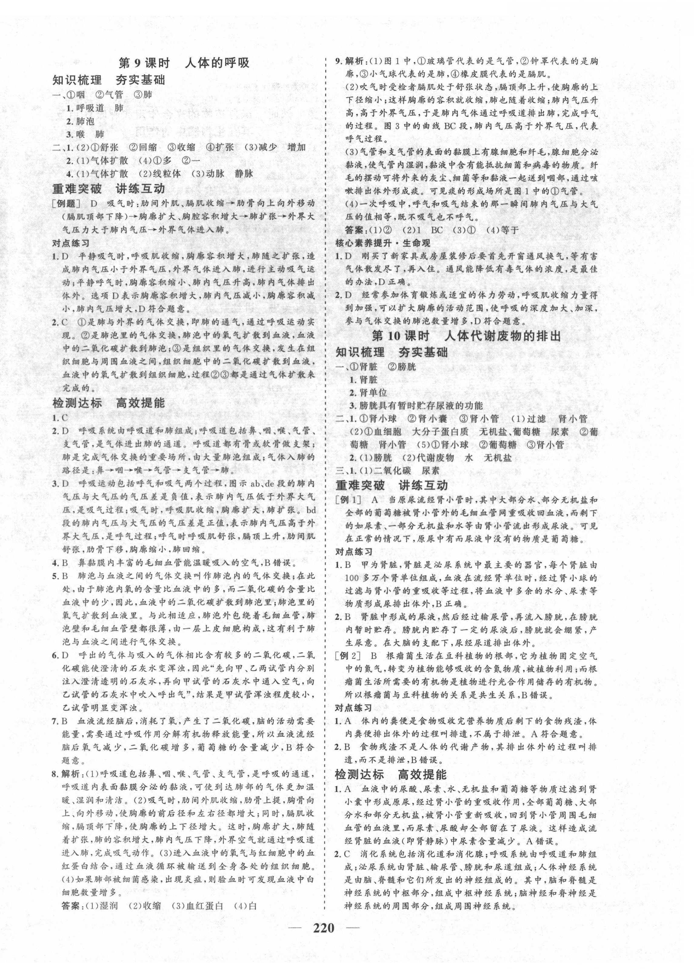 2022年優(yōu)化探究初中總復(fù)習(xí)生物江西專版&nbsp;參考答案第8頁