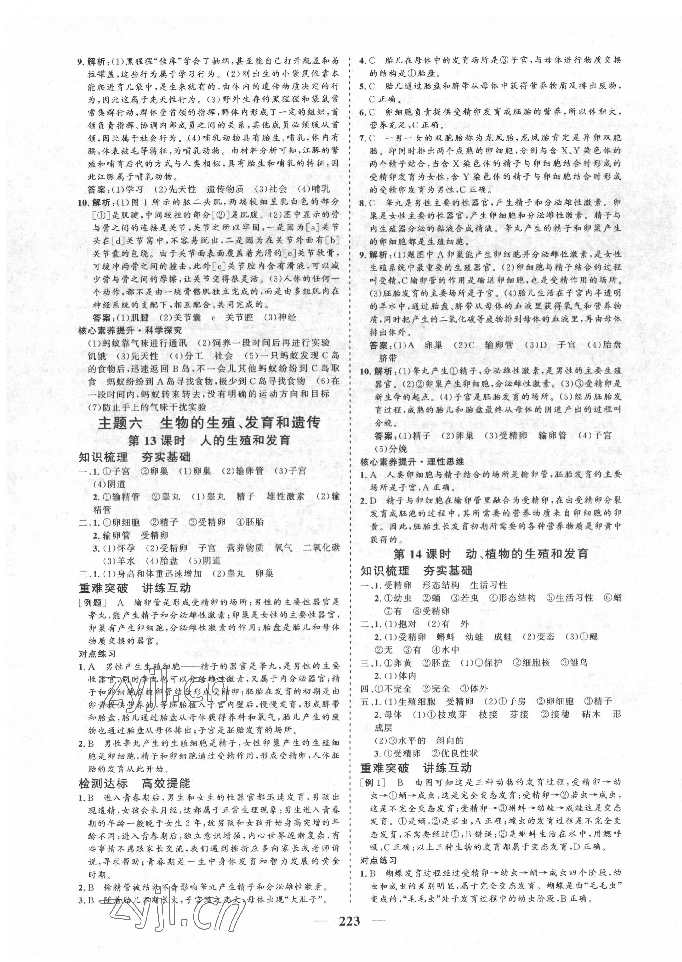 2022年優(yōu)化探究初中總復(fù)習(xí)生物江西專版&nbsp;參考答案第11頁