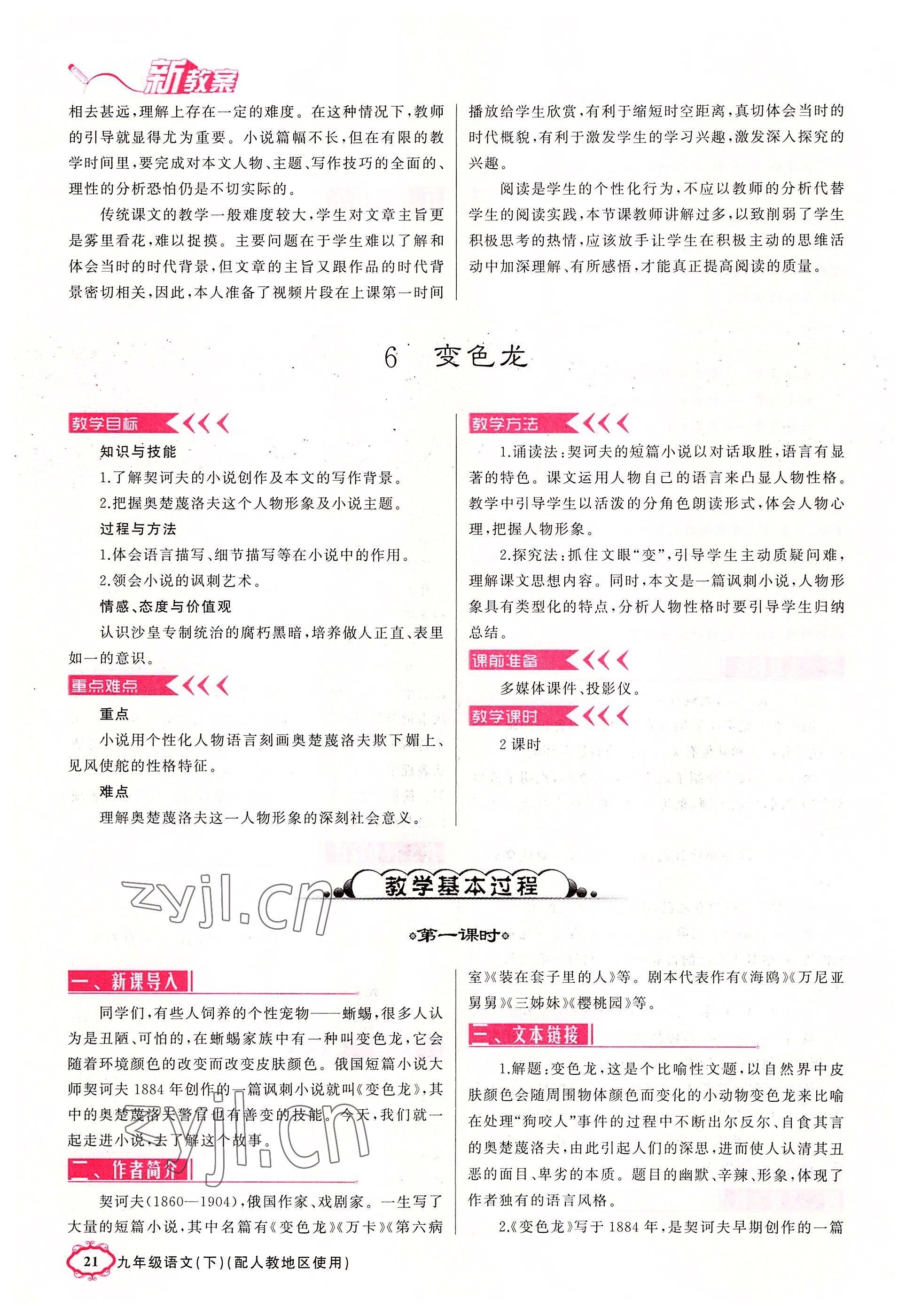 2022年四清導(dǎo)航九年級語文下冊人教版河南專版 參考答案第21頁