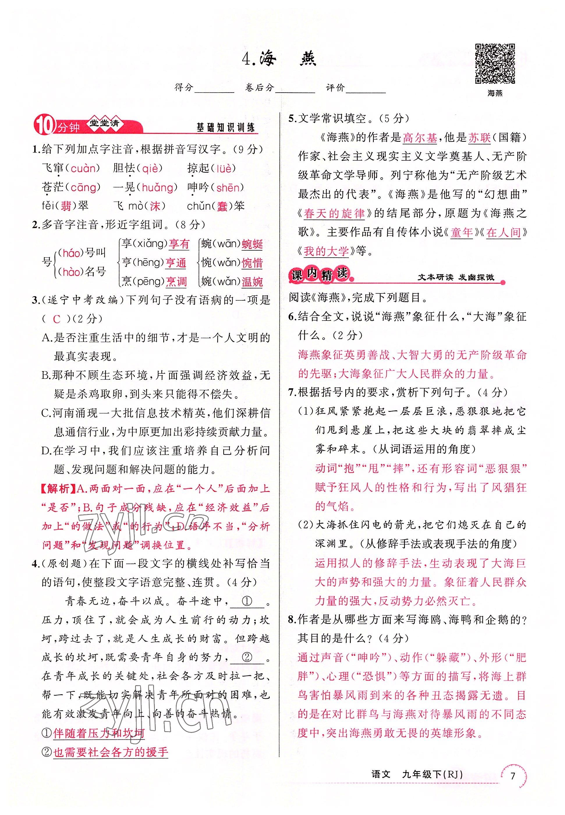 2022年四清導(dǎo)航九年級語文下冊人教版河南專版 參考答案第7頁