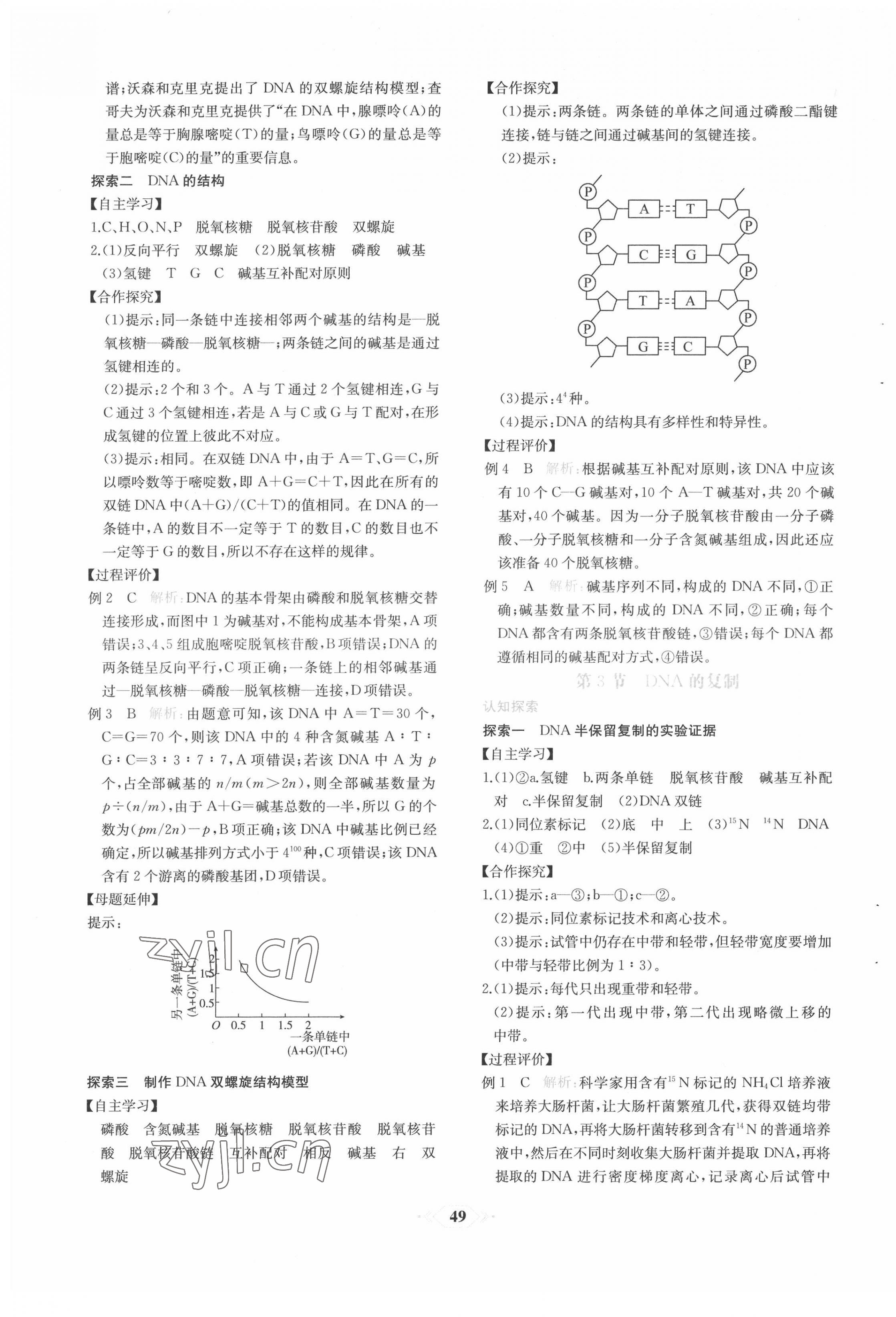 2022年新課程學(xué)習(xí)評價方案課時練高中生物必修2人教版 第17頁