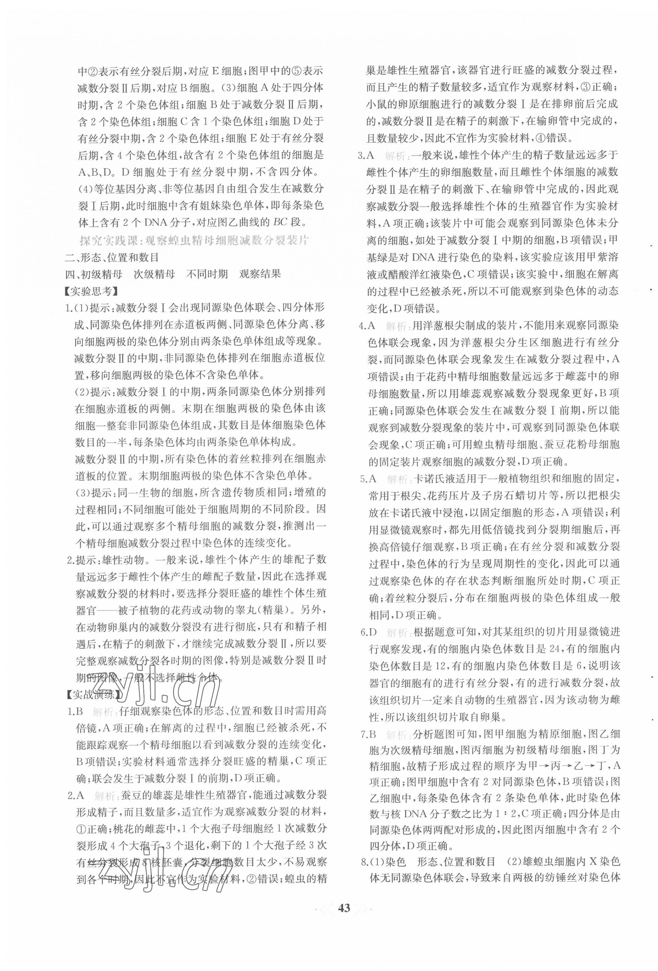 2022年新課程學(xué)習(xí)評價(jià)方案課時(shí)練高中生物必修2人教版 第11頁